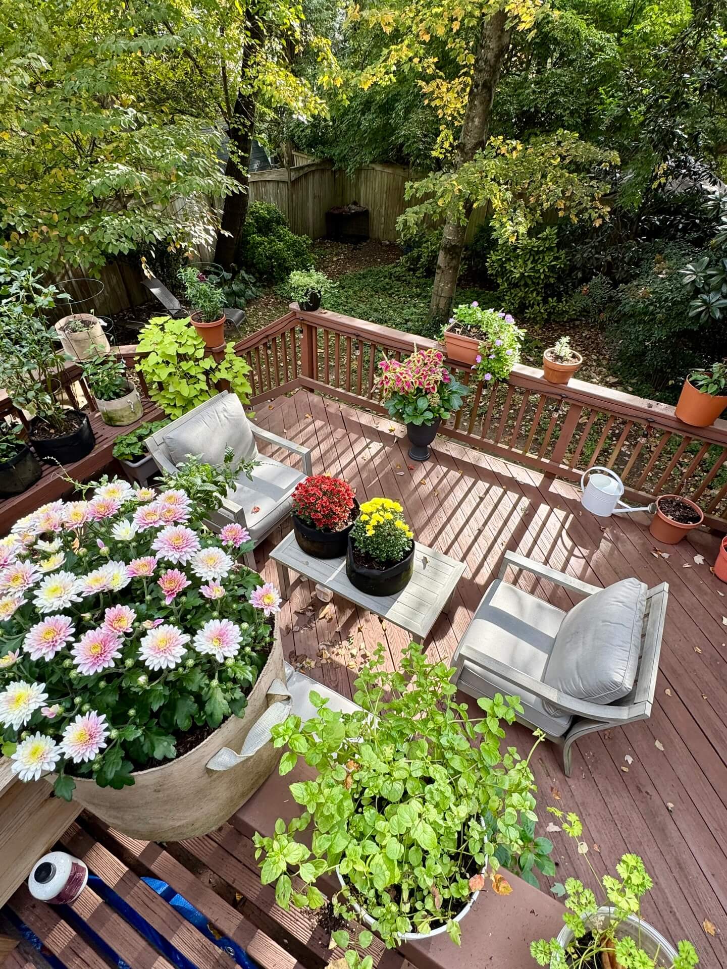 Transform Your Green Space: Creative Container Garden Ideas to Revitalize Any Area 1