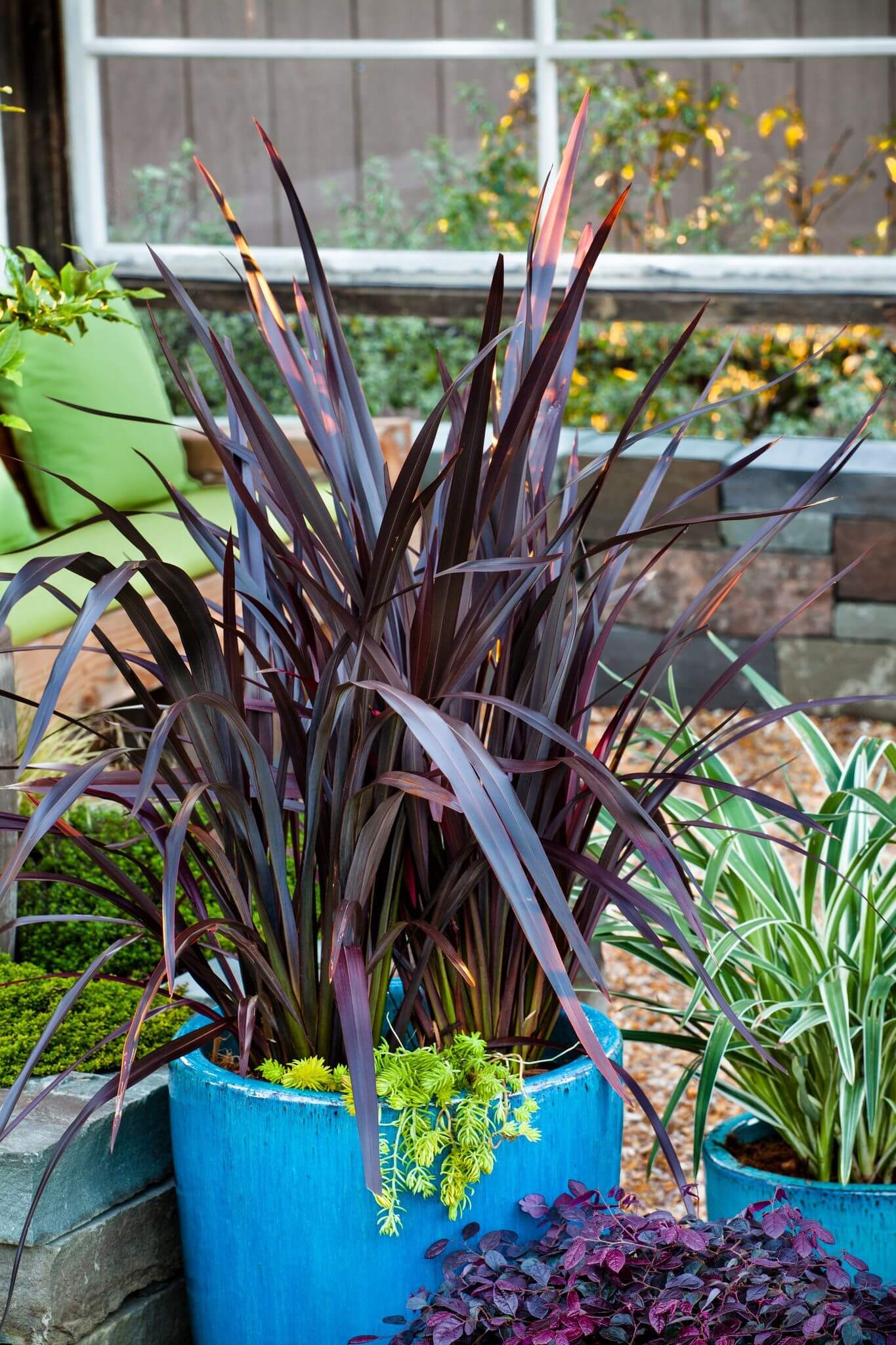 Transform Your Green Space: Creative Container Garden Ideas to Revitalize Any Area 10