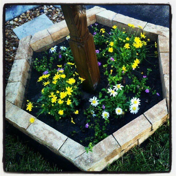 Transform Your Outdoor Space with Stunning Mailbox Flower Bed Ideas 10
