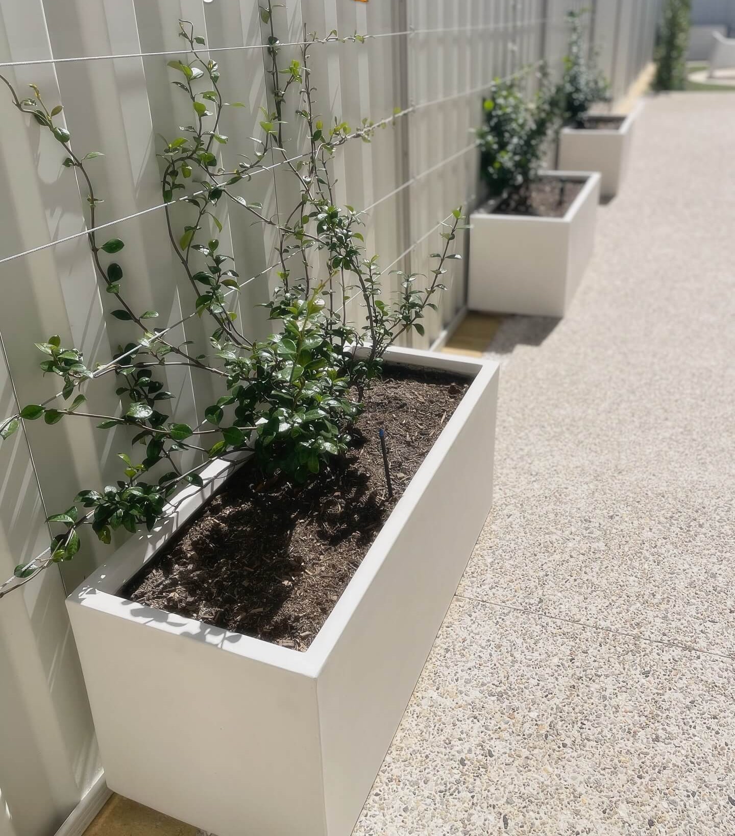 Transform Your Garden Oasis: 10 Innovative Fence Trellis Ideas 12