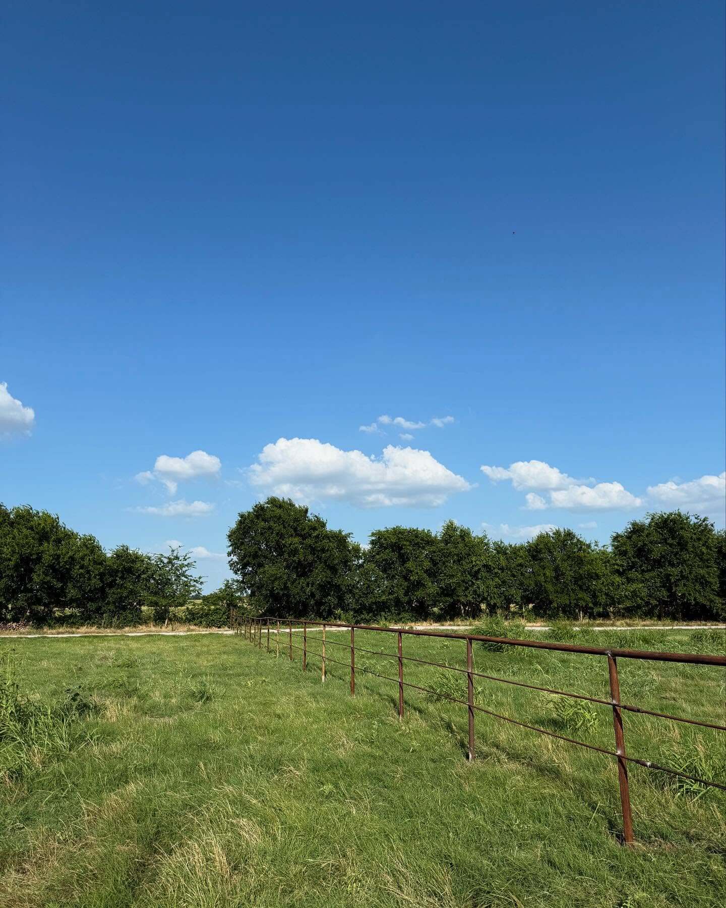 Creative Pipe Fence Ideas to Elevate Your Property’s Curb Appeal 12