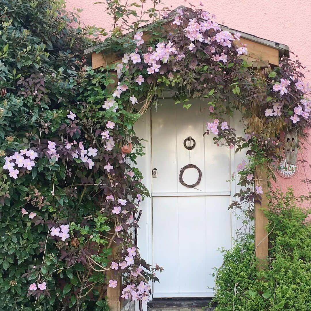 Blooms and Curb Appeal: Transform Your Home with These Front of House Flower Bed Ideas 12