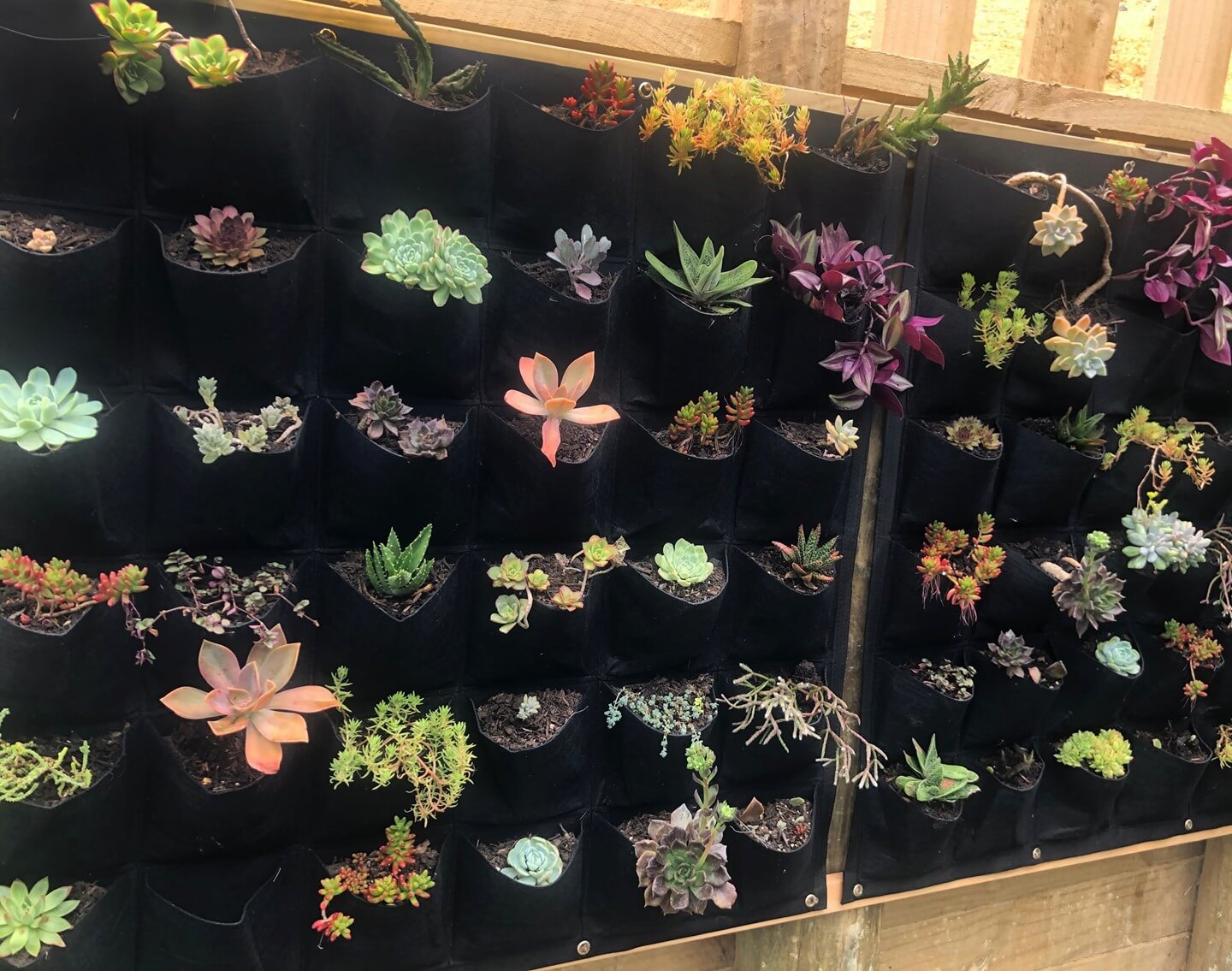 Transform Your Garden with These Creative Vertical Pocket Planter Ideas 12