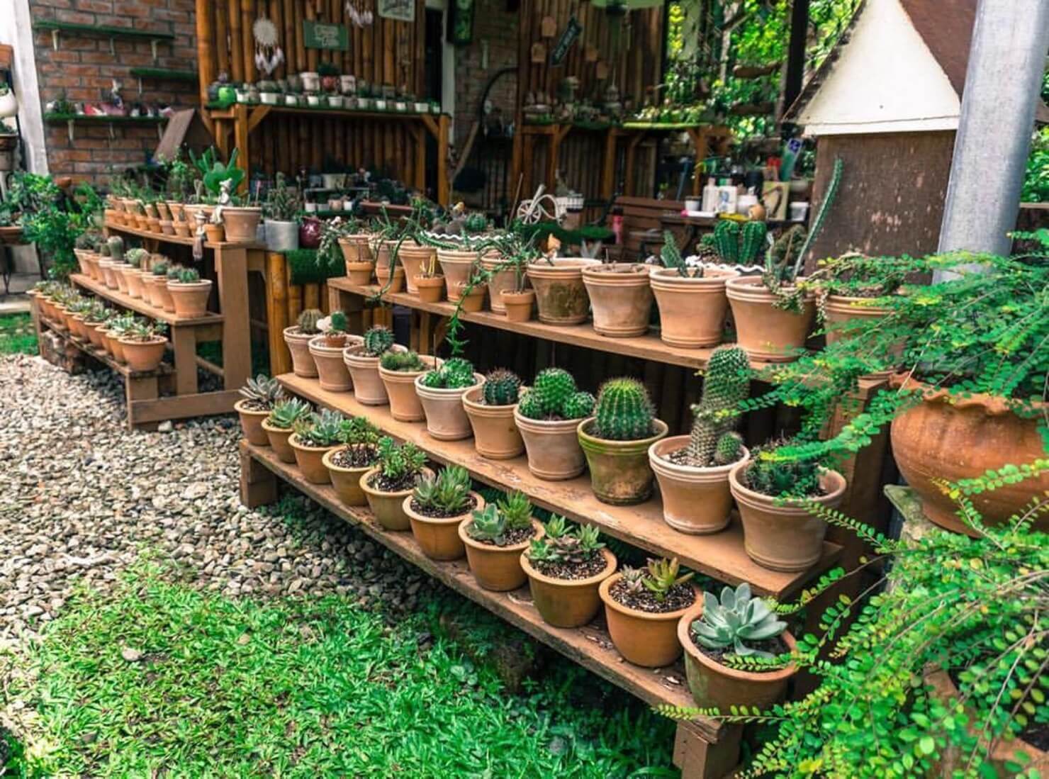 Innovative Garden Design Ideas to Transform Your Outdoor Space 12