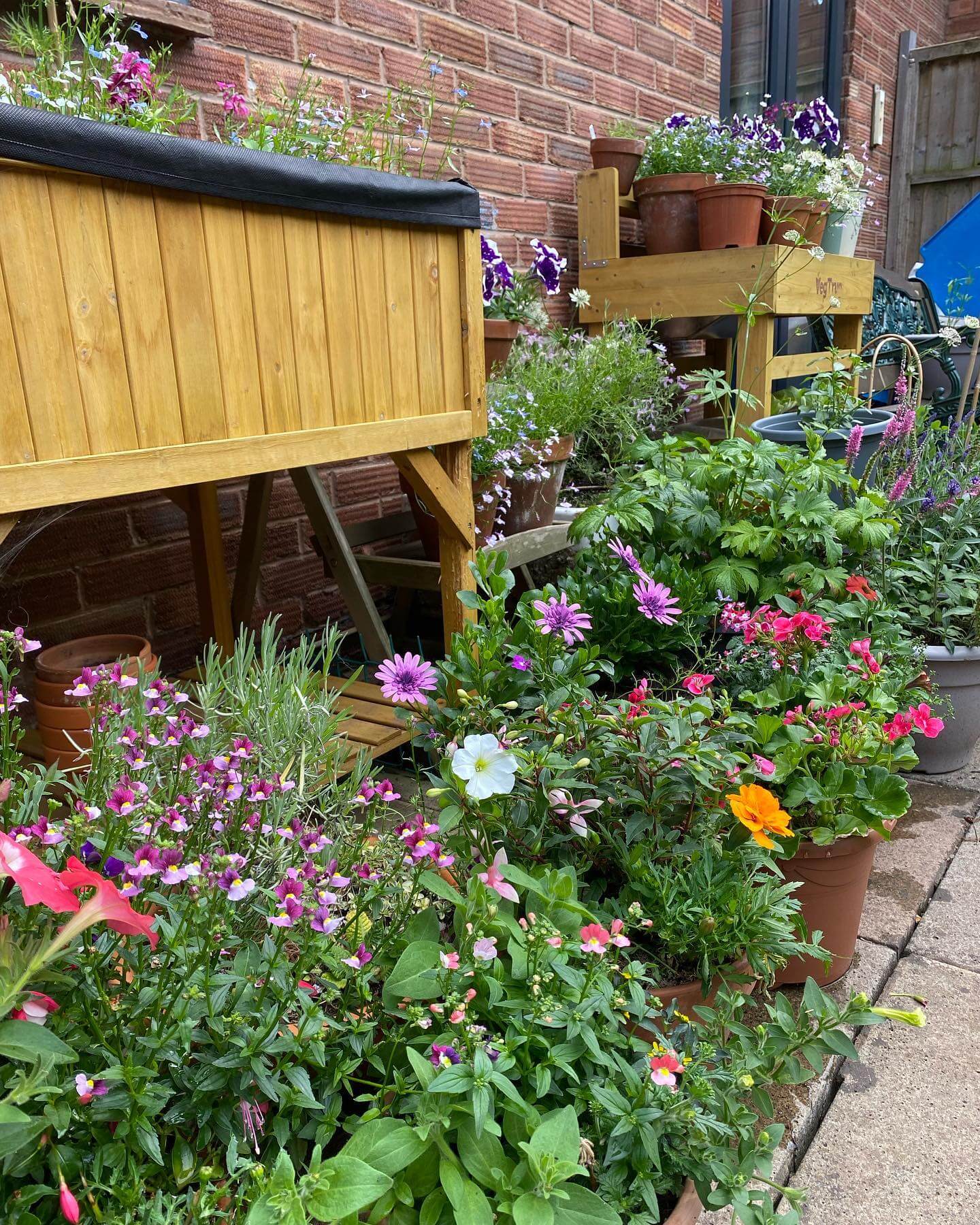 Transform Your Green Space: Creative Container Garden Ideas to Revitalize Any Area 13