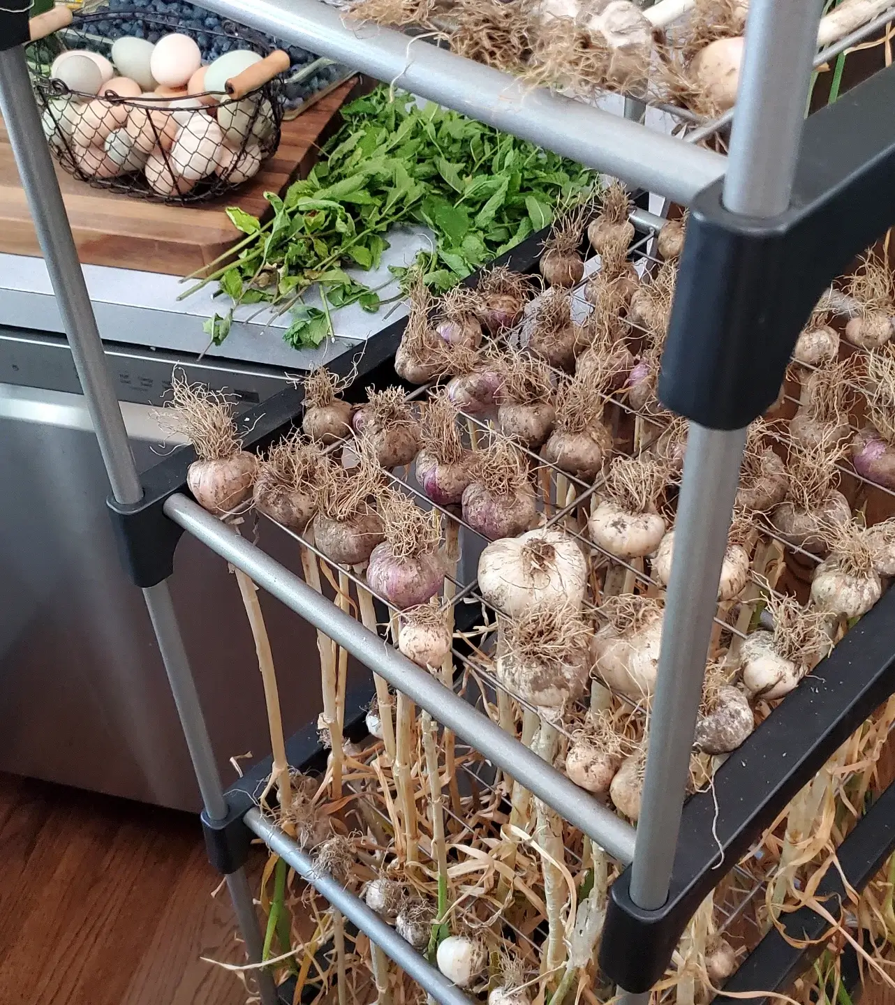 Transform Your Outdoor Space: Innovative Repurposed Garden Ideas 12