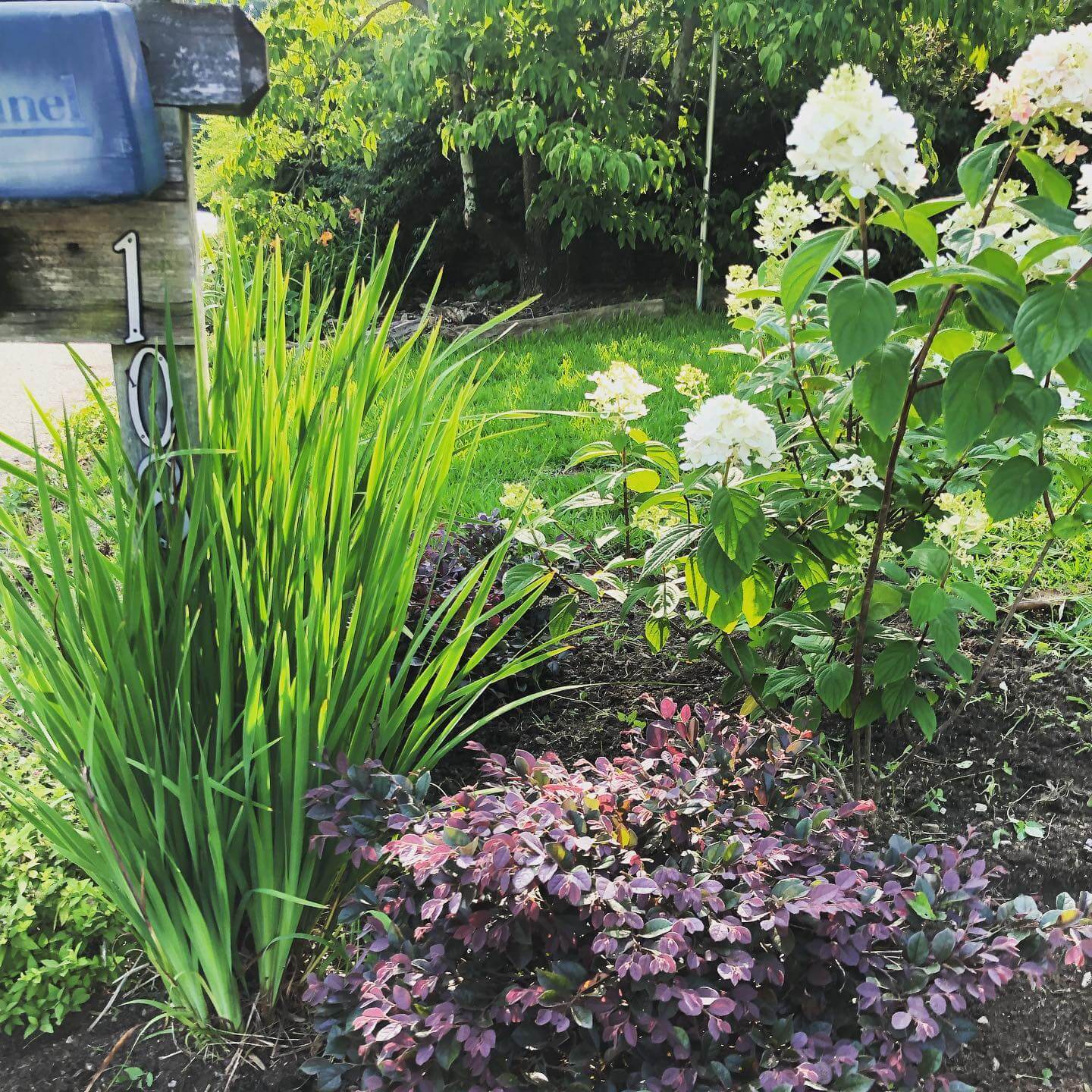 Transform Your Outdoor Space with Stunning Mailbox Flower Bed Ideas 13