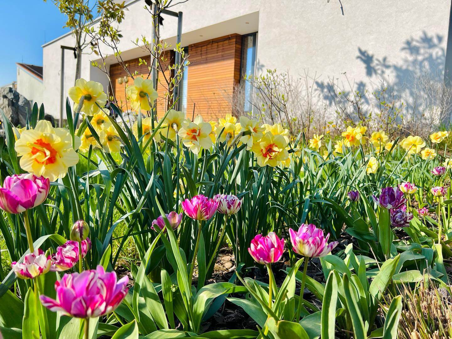 Blooms and Curb Appeal: Transform Your Home with These Front of House Flower Bed Ideas 14