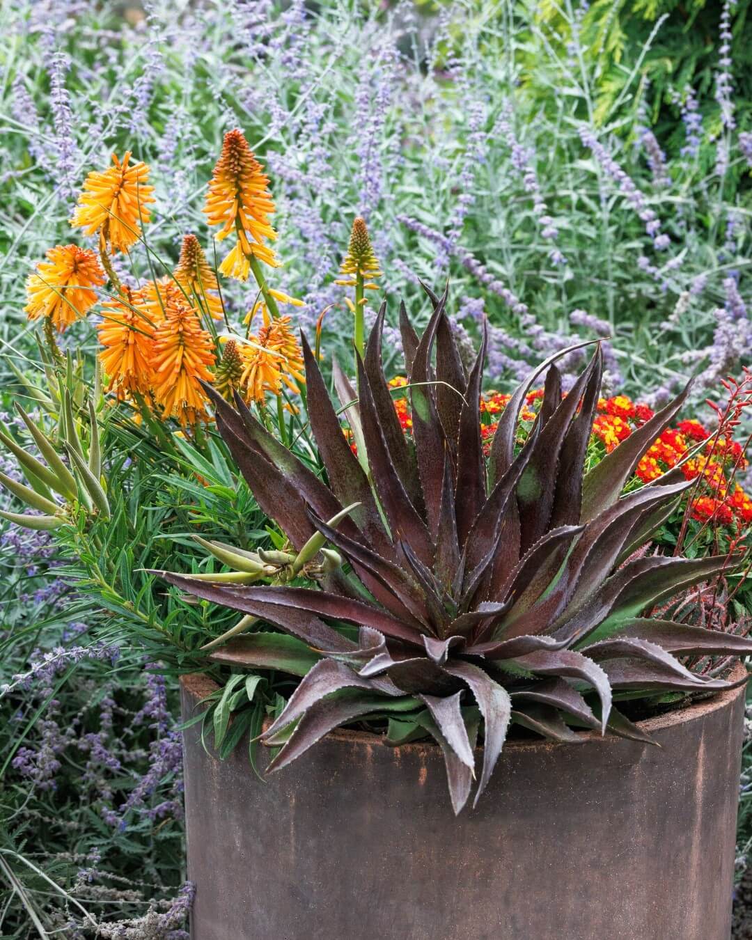 Transform Your Green Space: Creative Container Garden Ideas to Revitalize Any Area 14