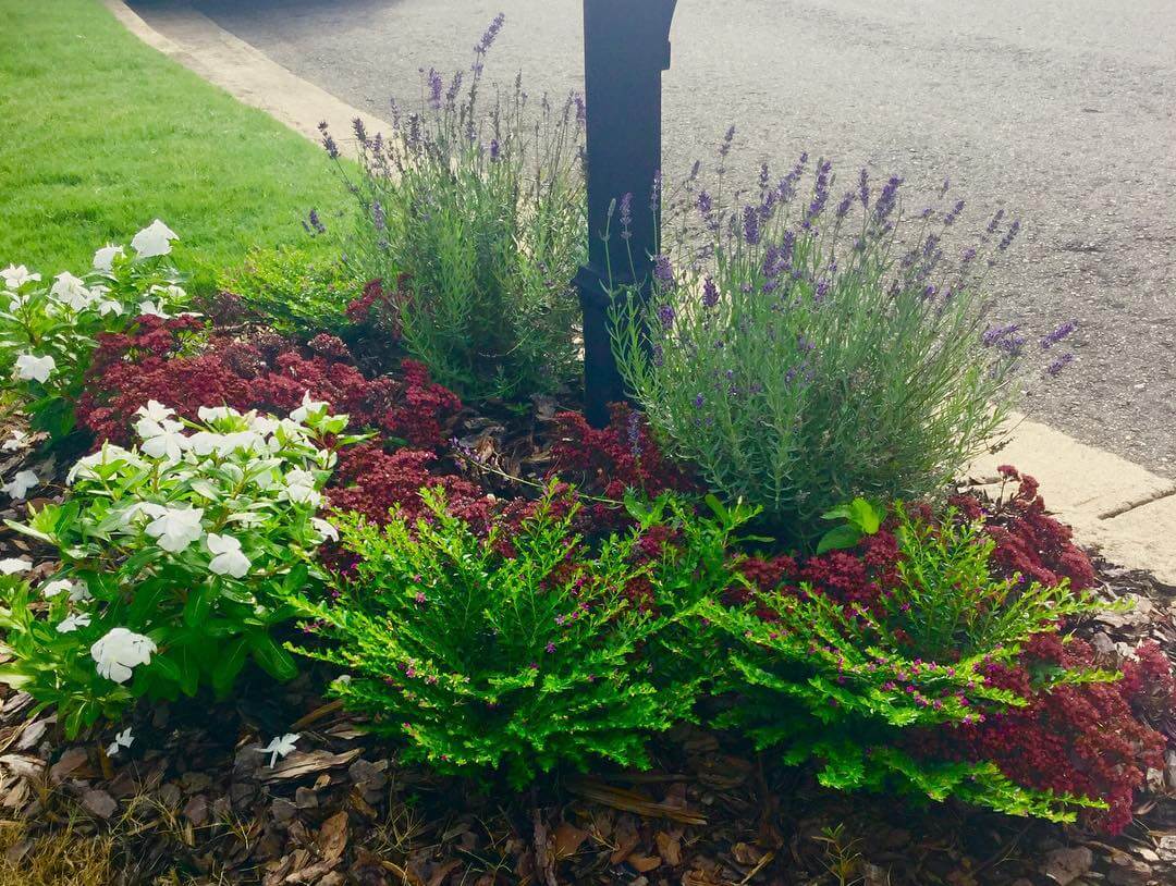 Transform Your Outdoor Space with Stunning Mailbox Flower Bed Ideas 14