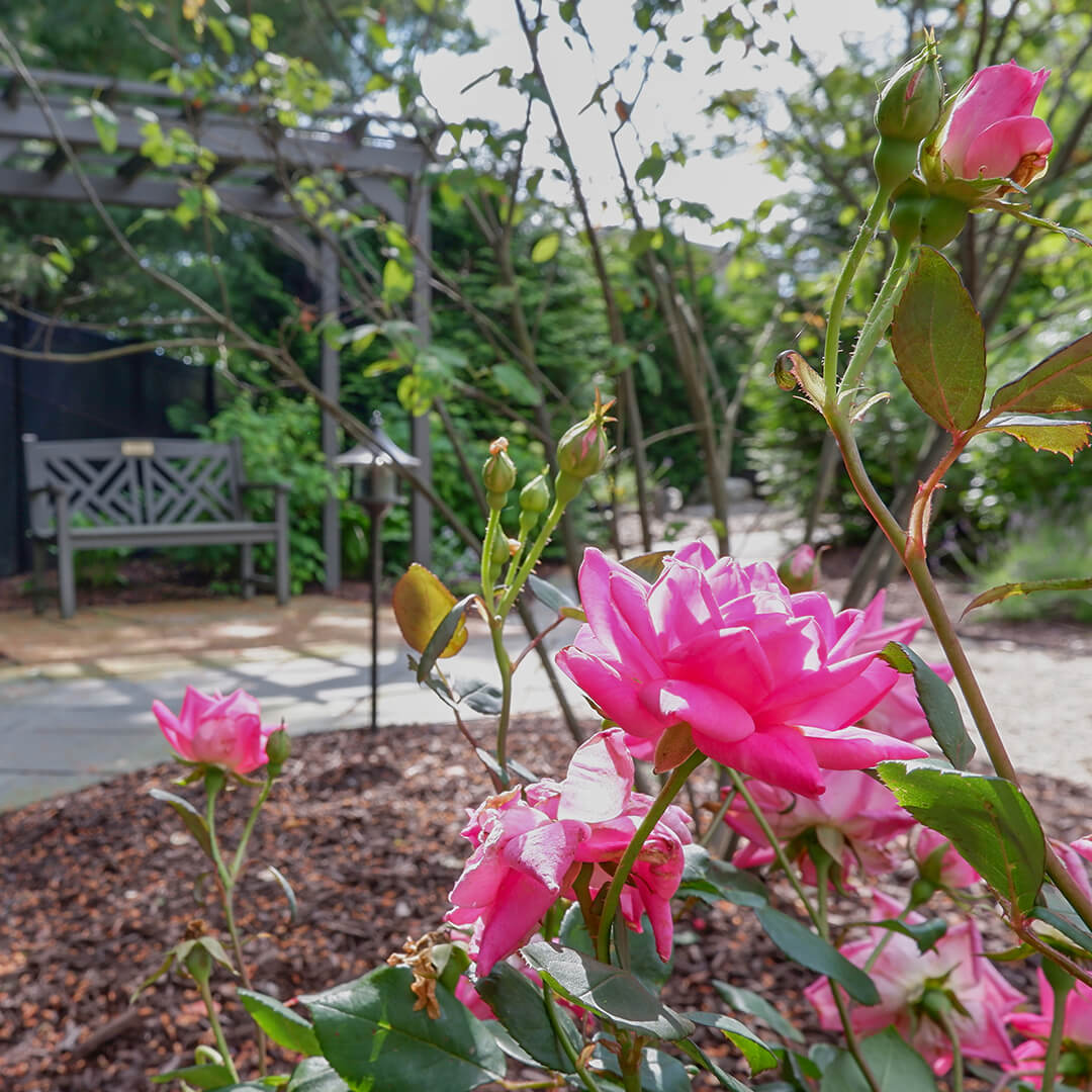 Unique Memorial Garden Ideas to Create a Serene Tribute 15