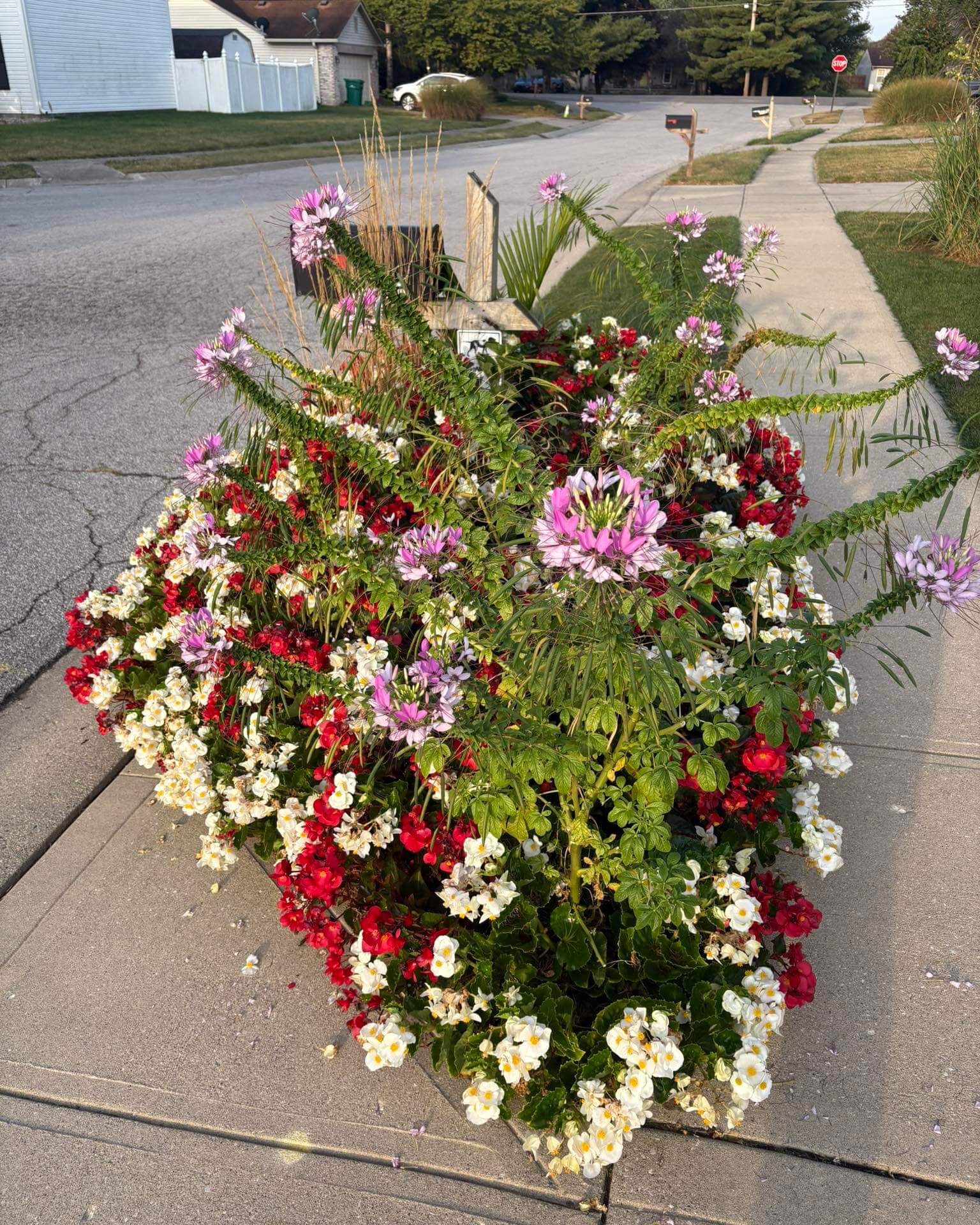 Transform Your Outdoor Space with Stunning Mailbox Flower Bed Ideas 15