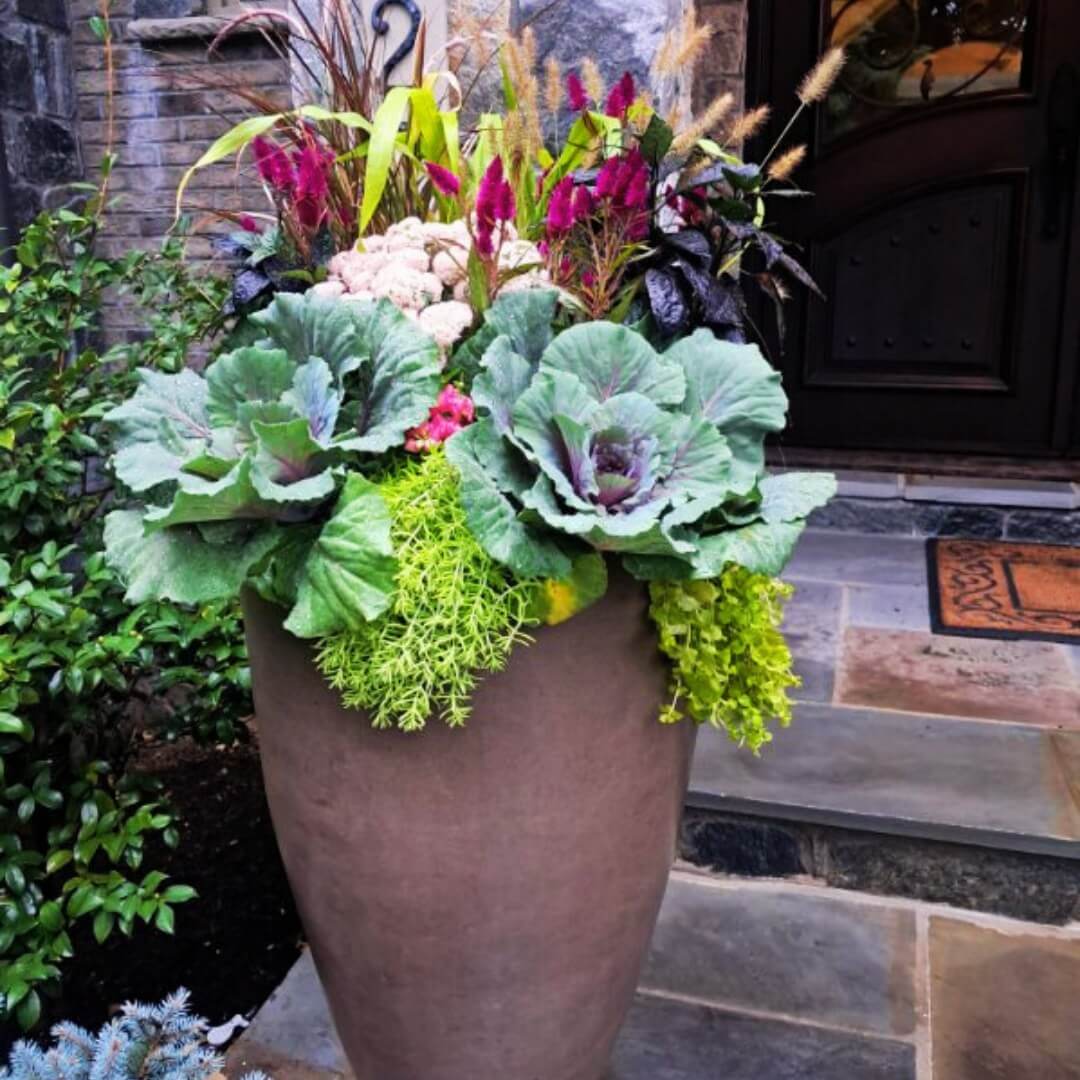 Transform Your Green Space: Creative Container Garden Ideas to Revitalize Any Area 15