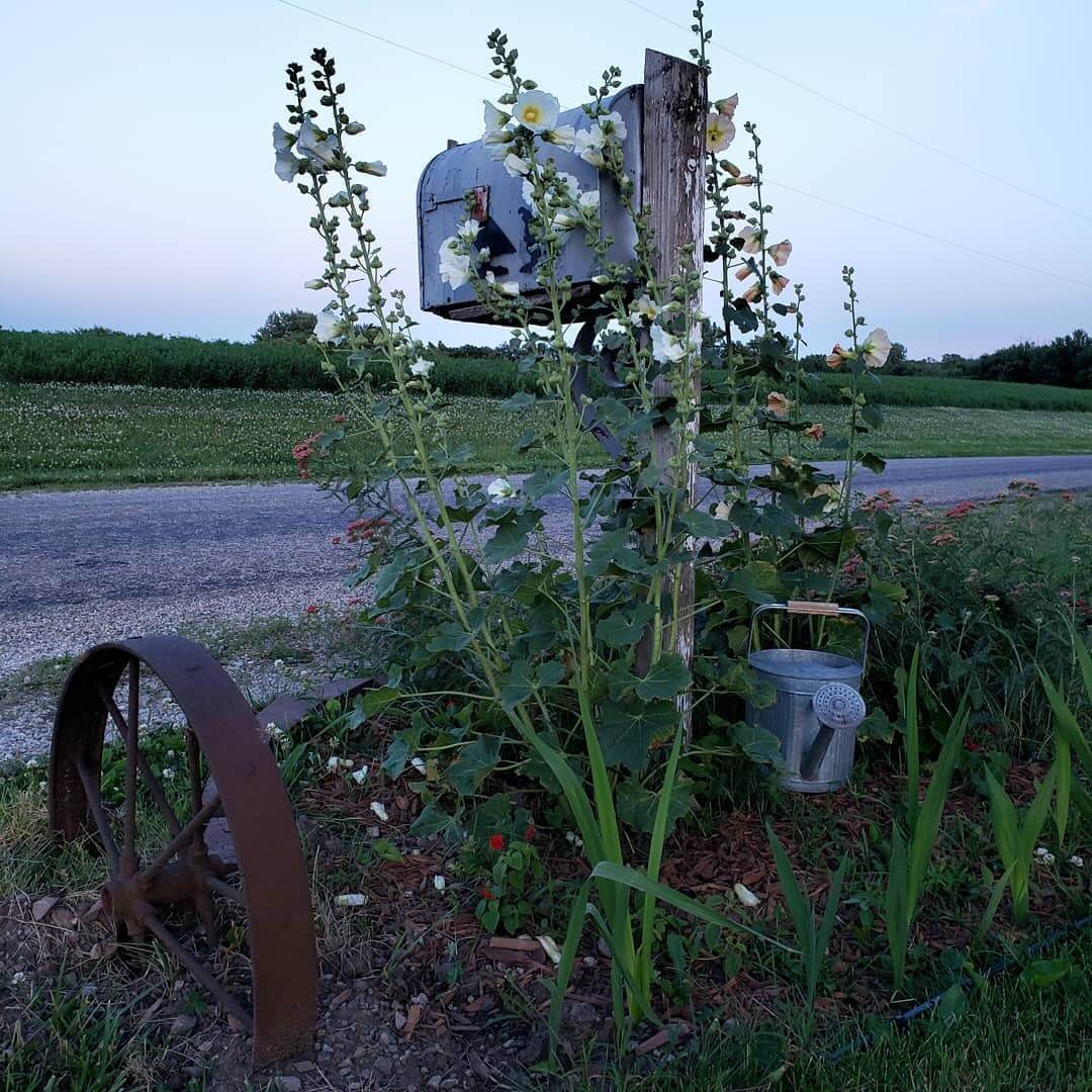 Transform Your Outdoor Space with Stunning Mailbox Flower Bed Ideas 16