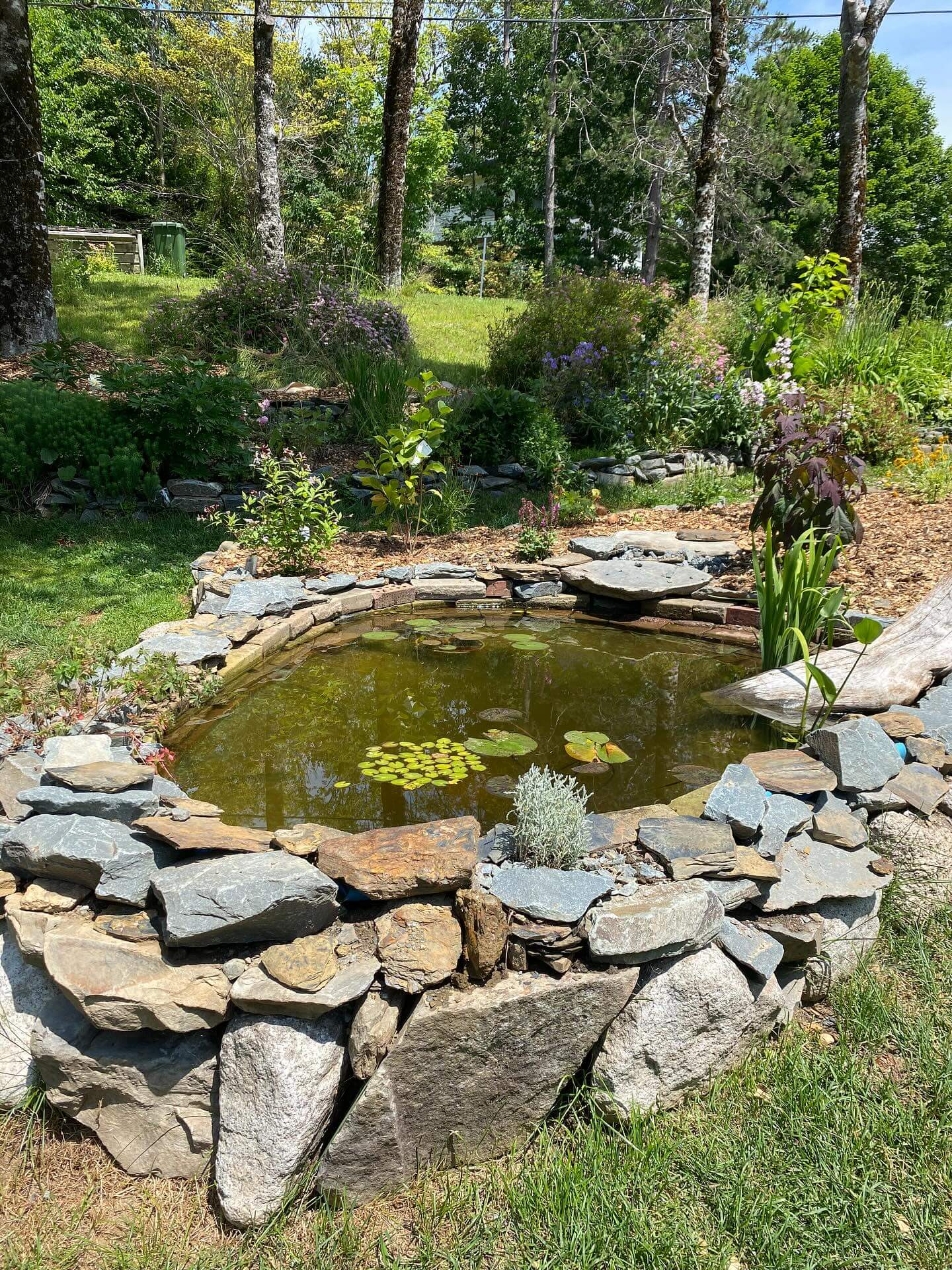 Transform Your Outdoor Space: Creative Backyard Pond Ideas to Inspire You 16