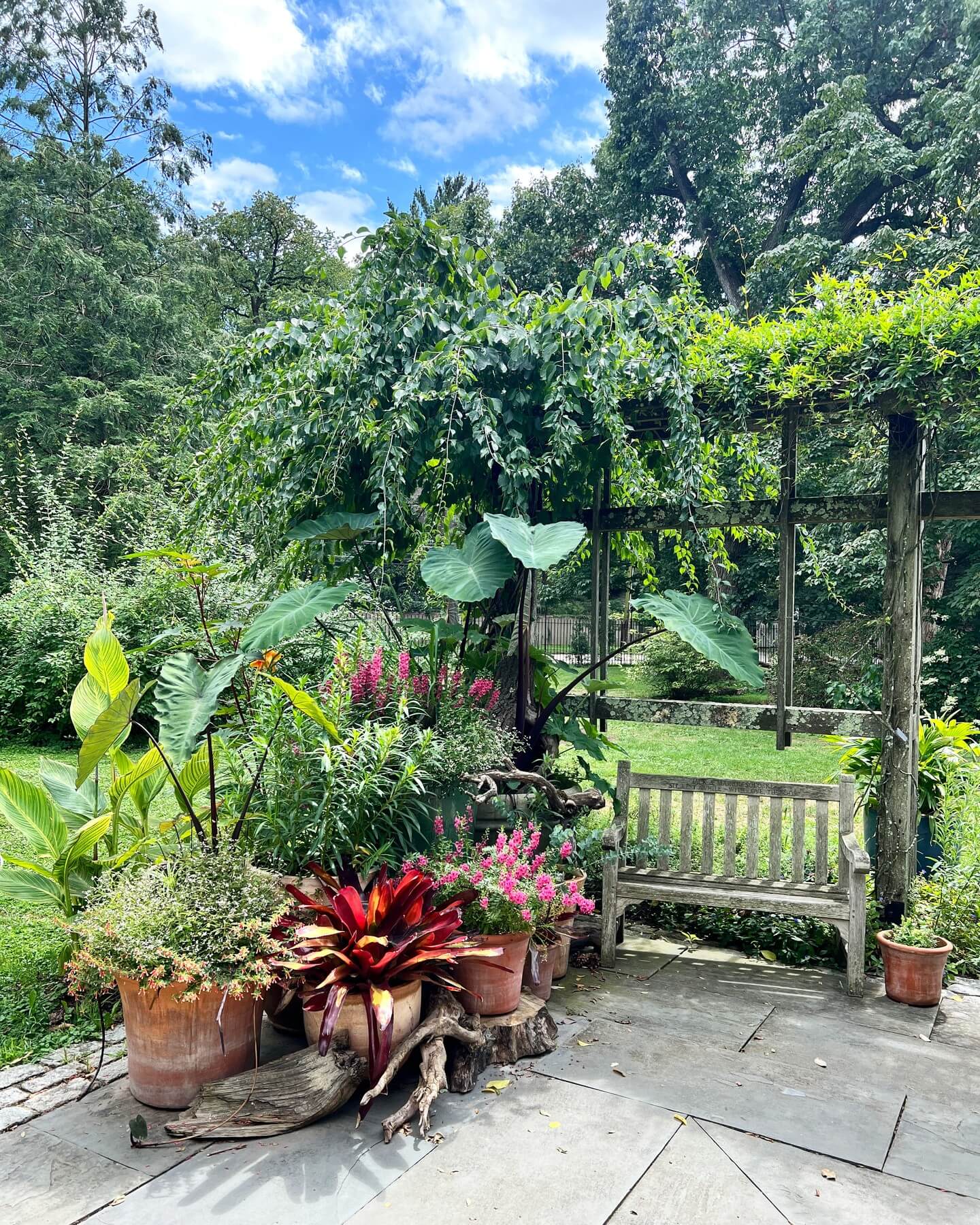 Transform Your Green Space: Creative Container Garden Ideas to Revitalize Any Area 17