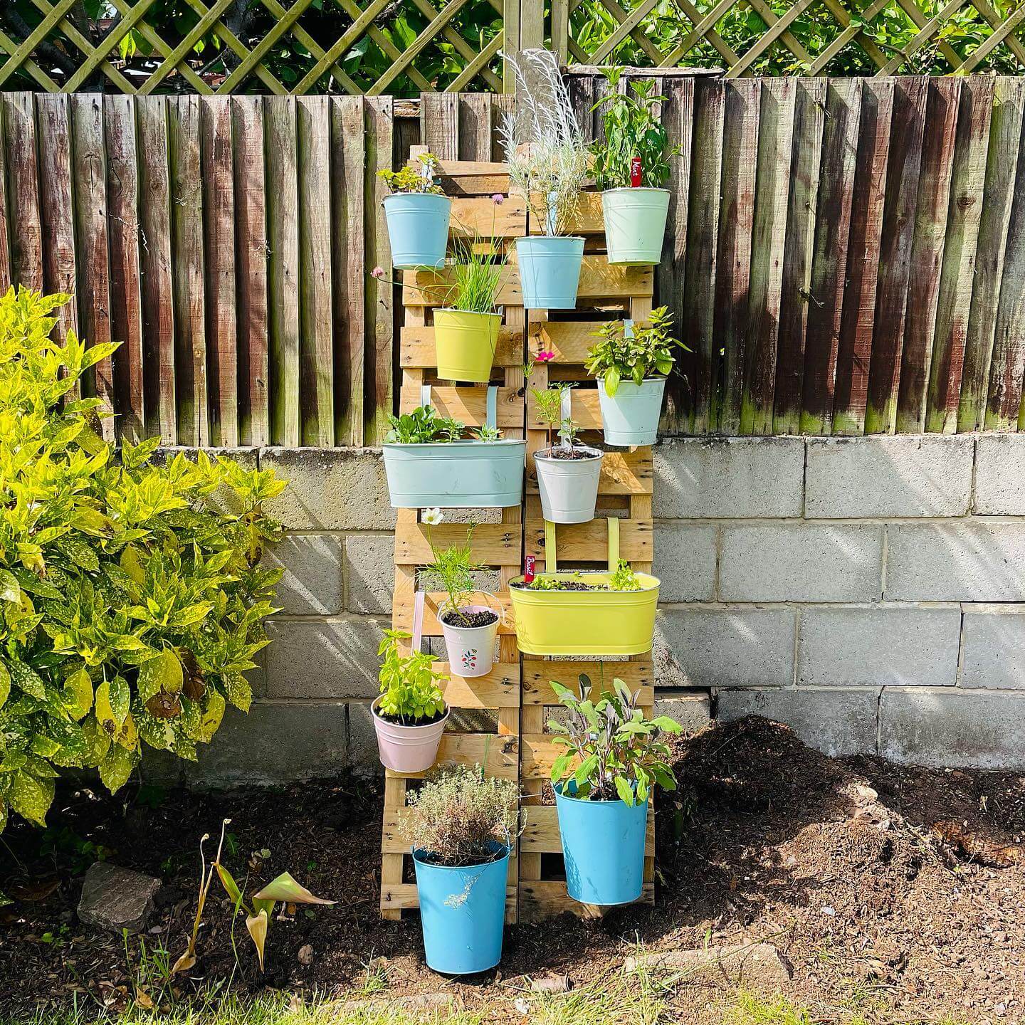 Transform Your Outdoor Space: Innovative Repurposed Garden Ideas 16