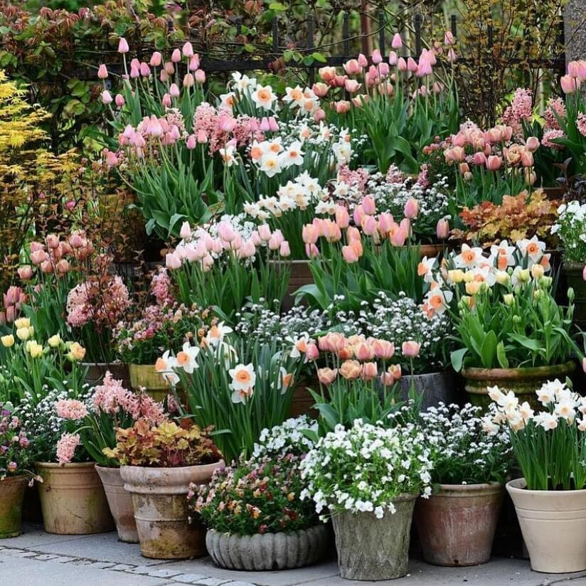 Transform Your Green Space: Creative Container Garden Ideas to Revitalize Any Area 18