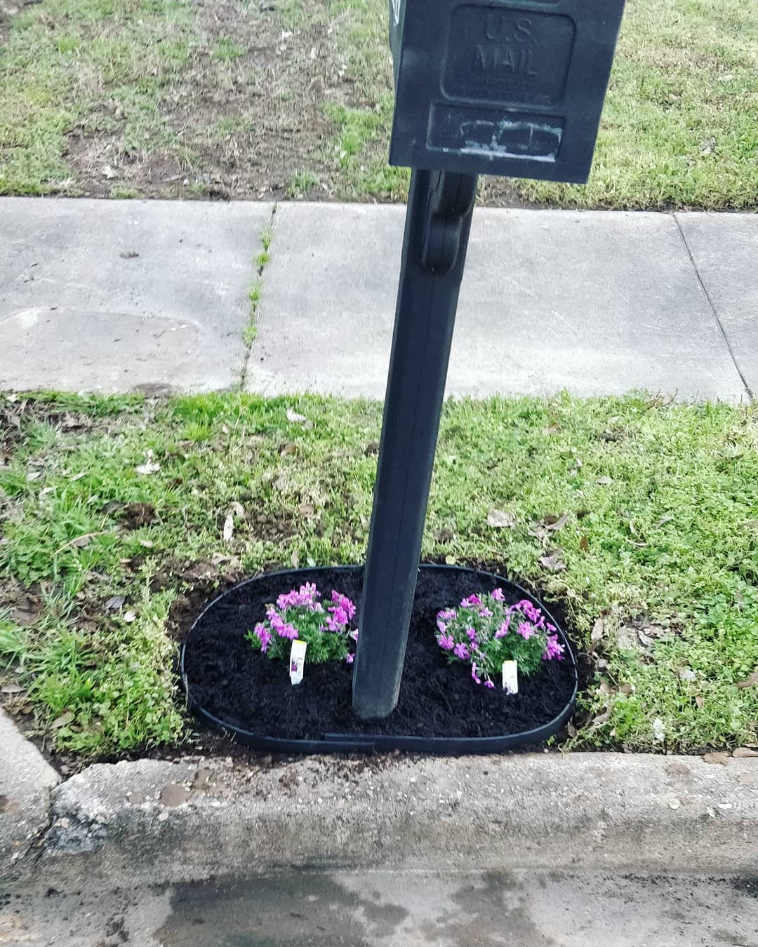 Transform Your Outdoor Space with Stunning Mailbox Flower Bed Ideas 18