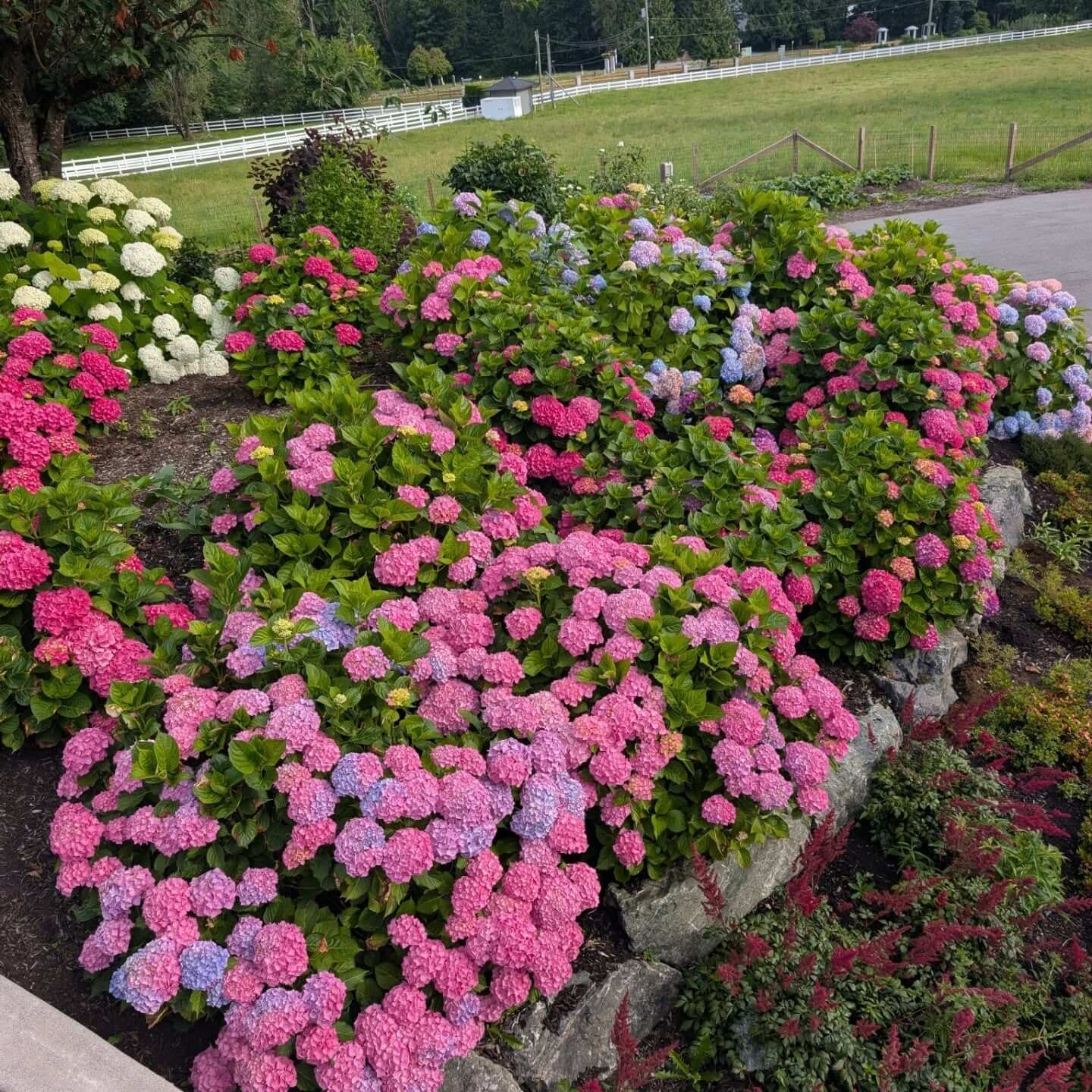 Unique Memorial Garden Ideas to Create a Serene Tribute 19