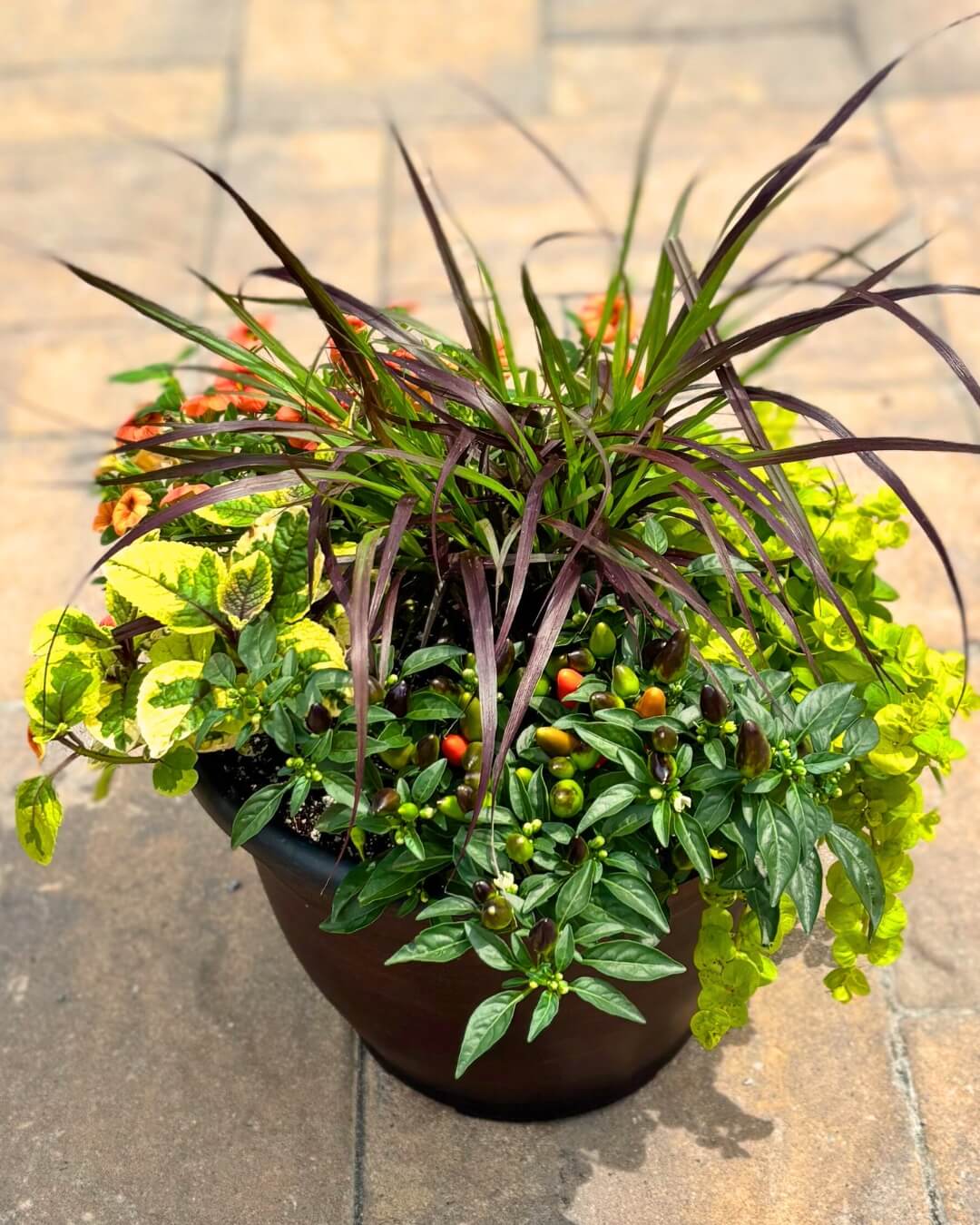 Transform Your Green Space: Creative Container Garden Ideas to Revitalize Any Area 19