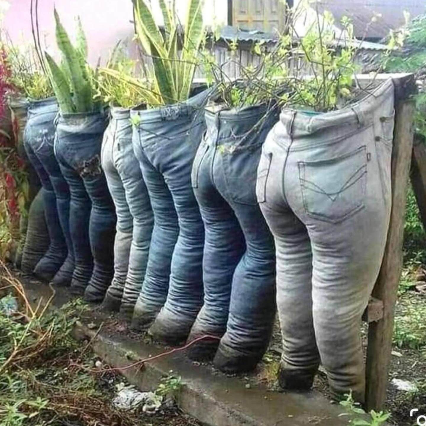 Transform Your Outdoor Space: Innovative Repurposed Garden Ideas 18