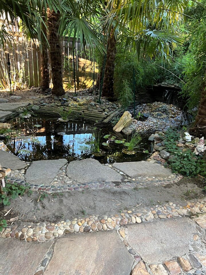 Transform Your Outdoor Space: Creative Backyard Pond Ideas to Inspire You 19