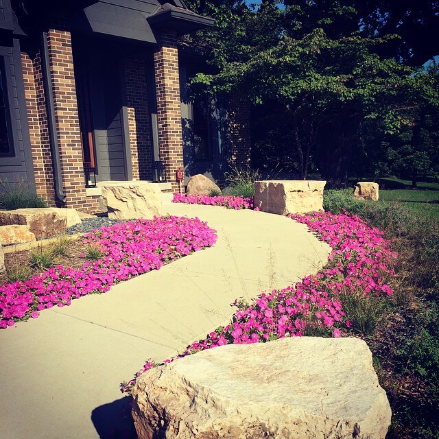 Blooms and Curb Appeal: Transform Your Home with These Front of House Flower Bed Ideas 19