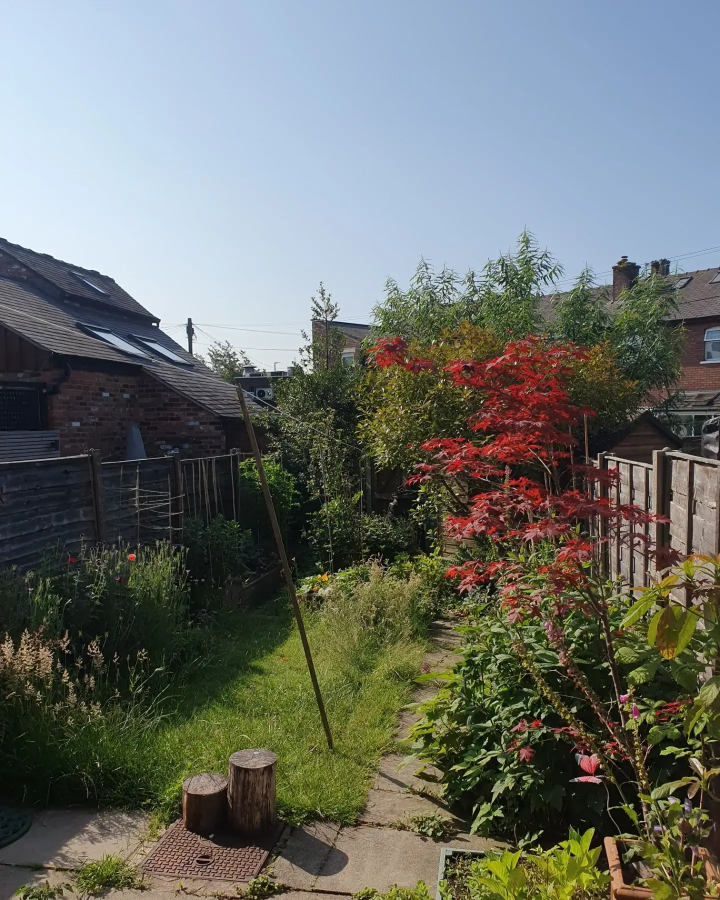 Innovative Garden Design Ideas to Transform Your Outdoor Space 2