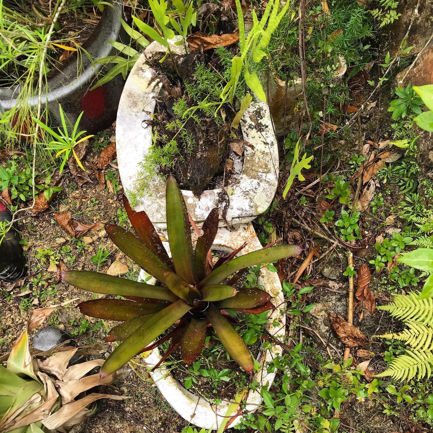 Transform Your Outdoor Space: Innovative Repurposed Garden Ideas 2