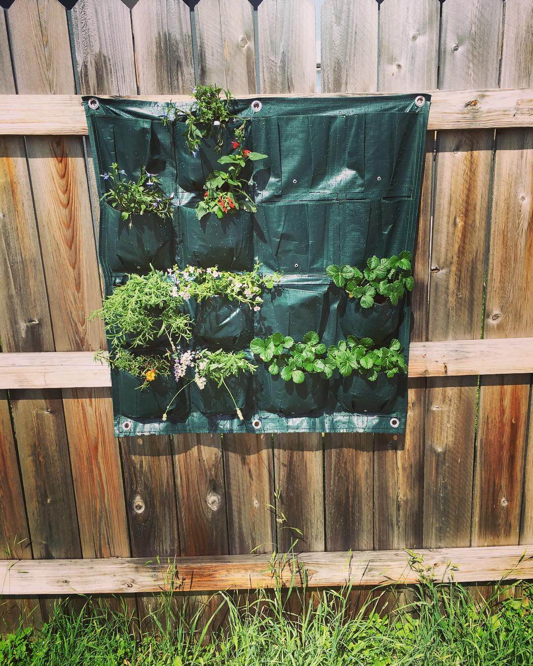 Transform Your Garden with These Creative Vertical Pocket Planter Ideas 2