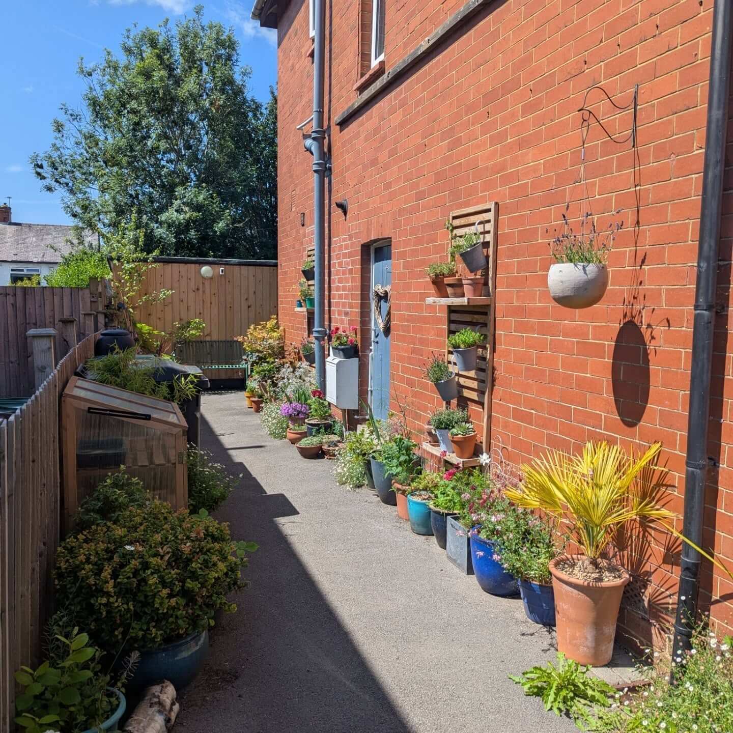 Transform Your Green Space: Creative Container Garden Ideas to Revitalize Any Area 20