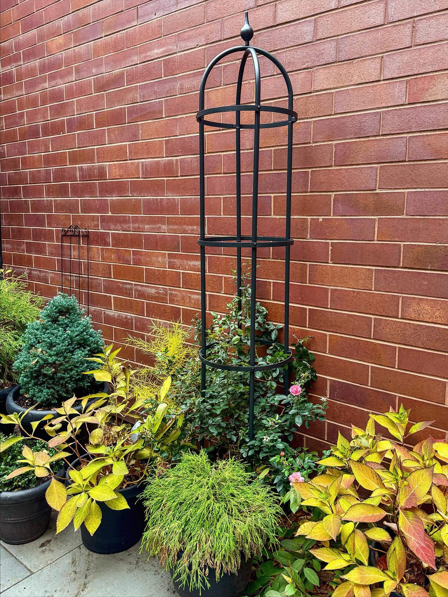 Transform Your Green Space: Creative Container Garden Ideas to Revitalize Any Area 21