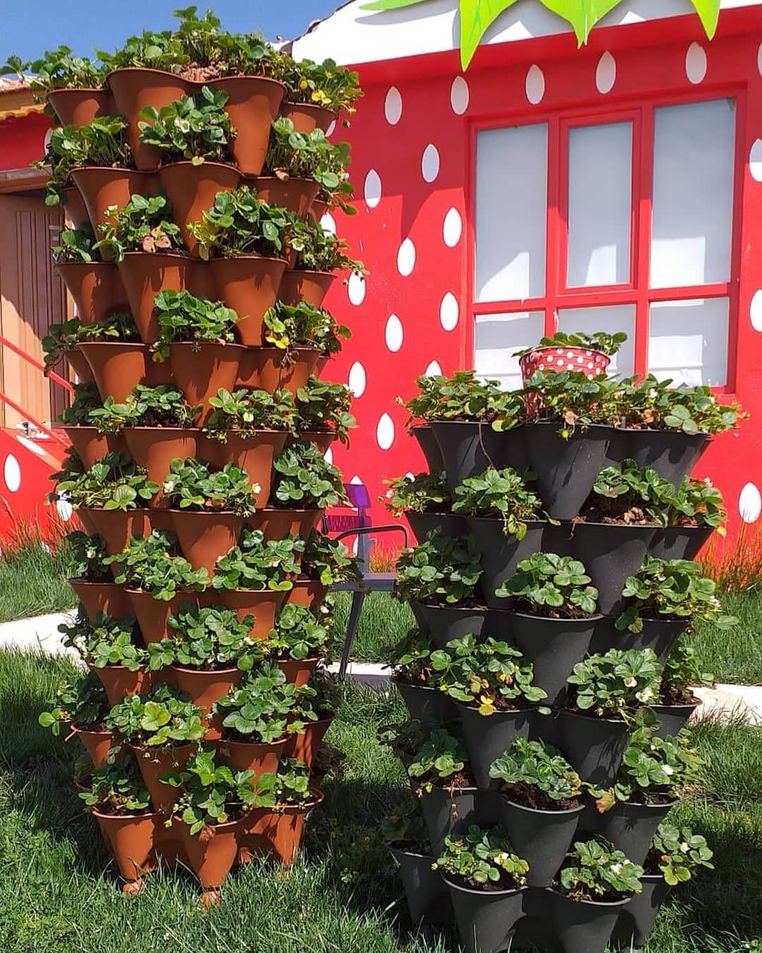 Transform Your Garden with These Creative Vertical Pocket Planter Ideas 21