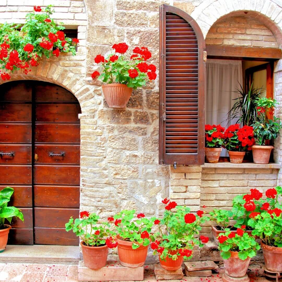 Blooms and Curb Appeal: Transform Your Home with These Front of House Flower Bed Ideas 22