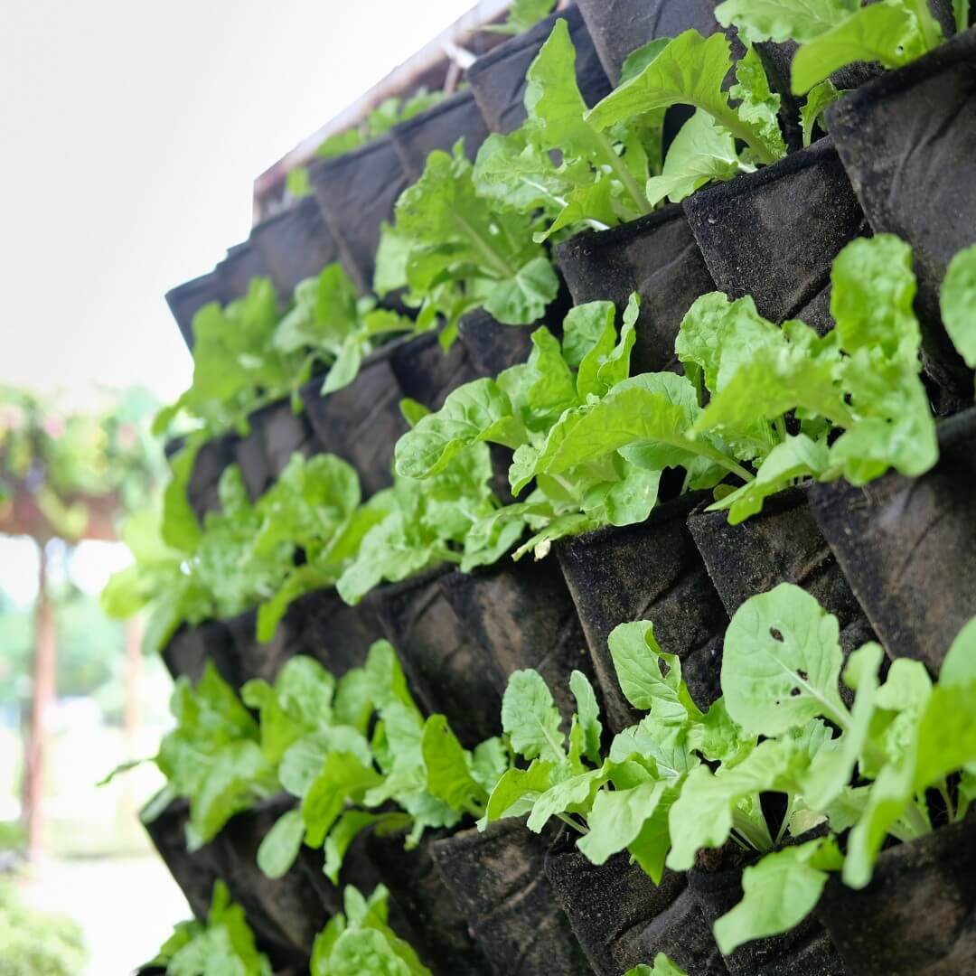 Transform Your Garden with These Creative Vertical Pocket Planter Ideas 22