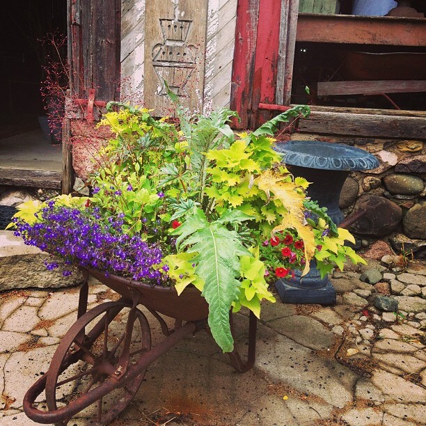 Innovative Garden Design Ideas to Transform Your Outdoor Space 22