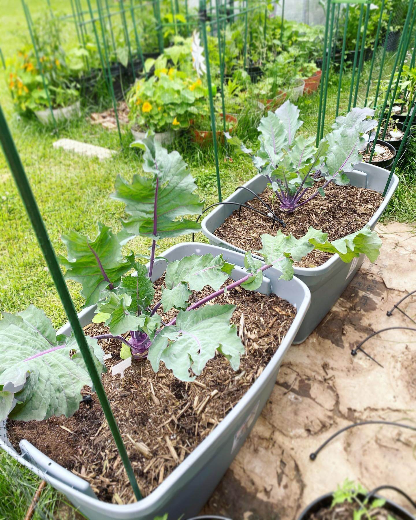 Transform Your Outdoor Space: Innovative Repurposed Garden Ideas 22