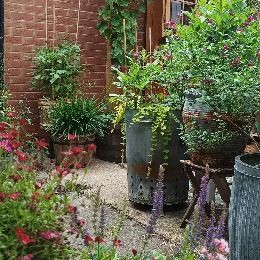 Transform Your Green Space: Creative Container Garden Ideas to Revitalize Any Area 23