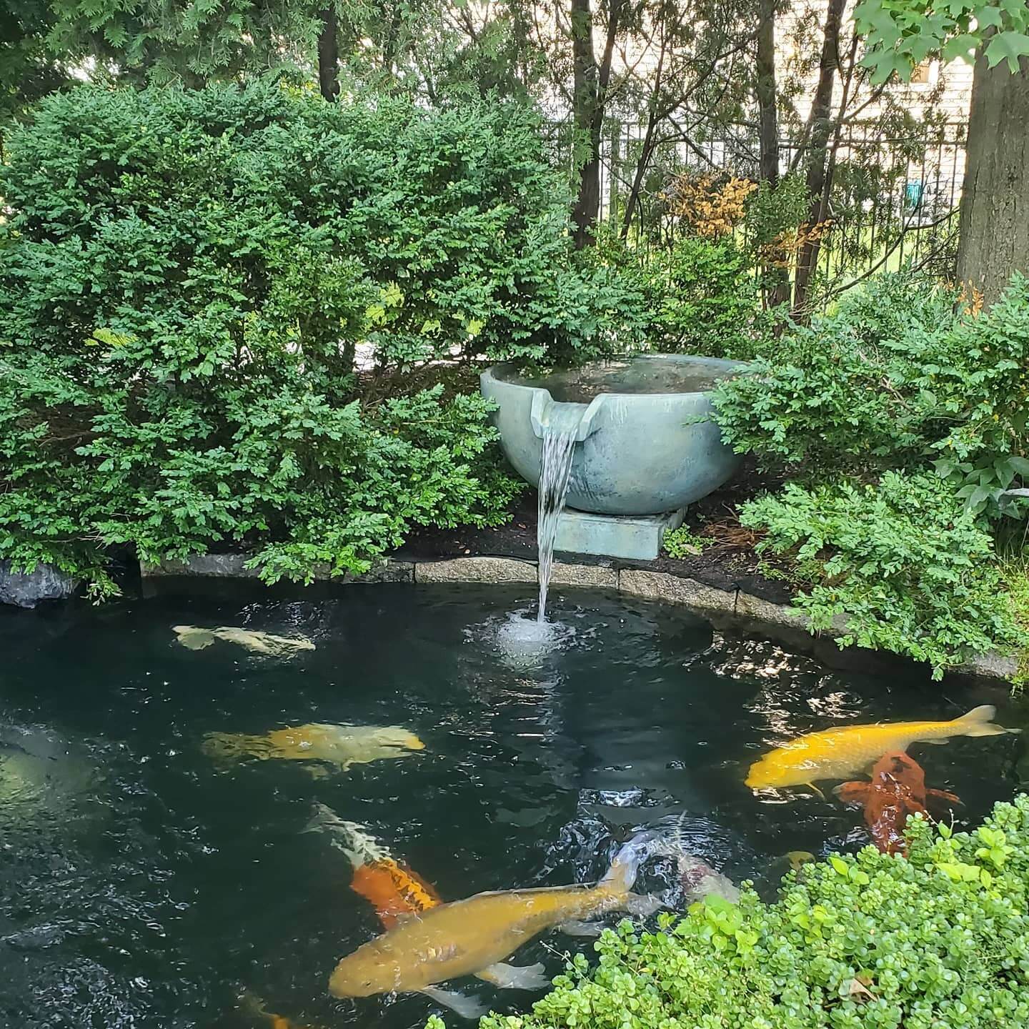 Transform Your Outdoor Space: Creative Backyard Pond Ideas to Inspire You 23