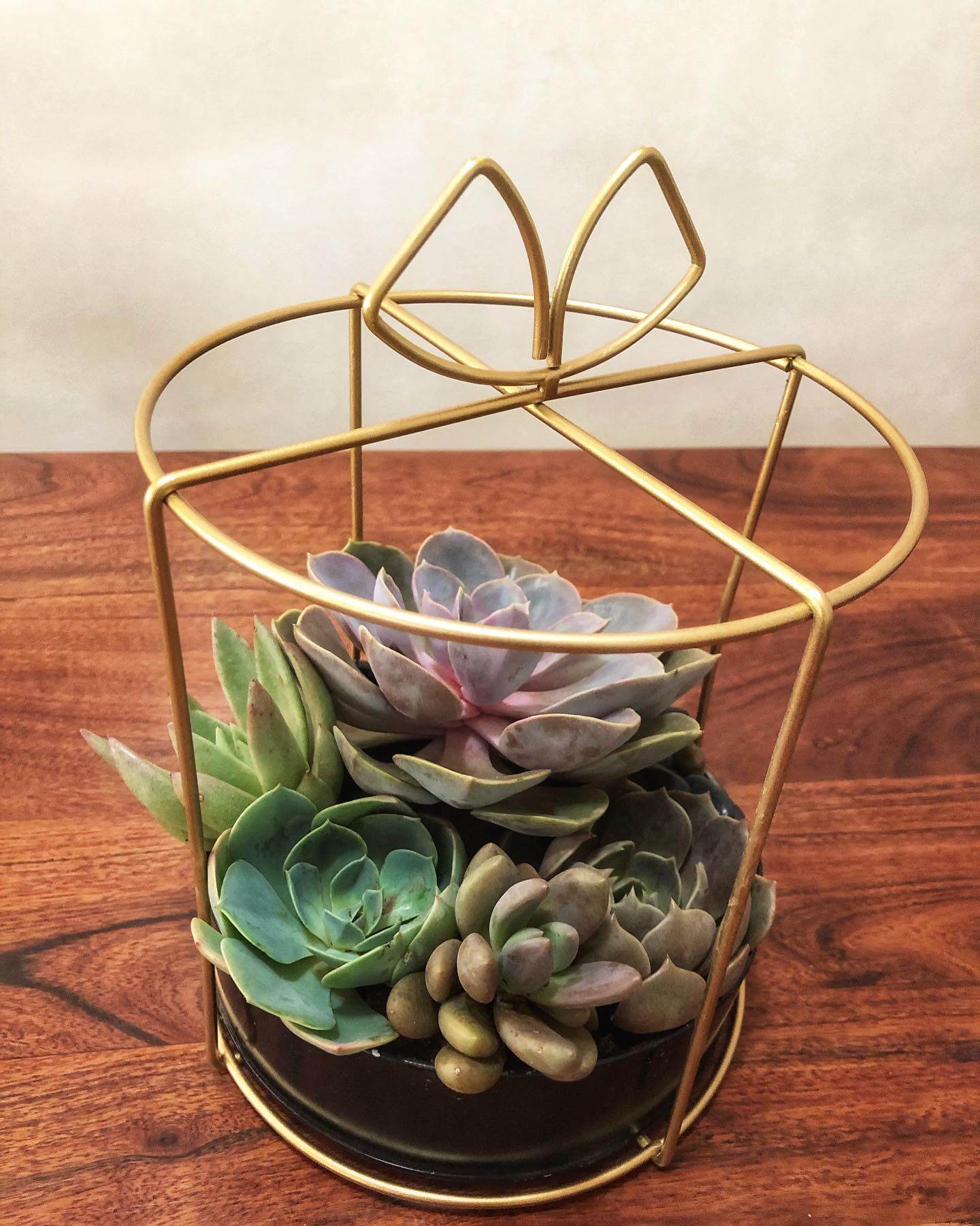 Innovative Garden Design Ideas to Transform Your Outdoor Space 23