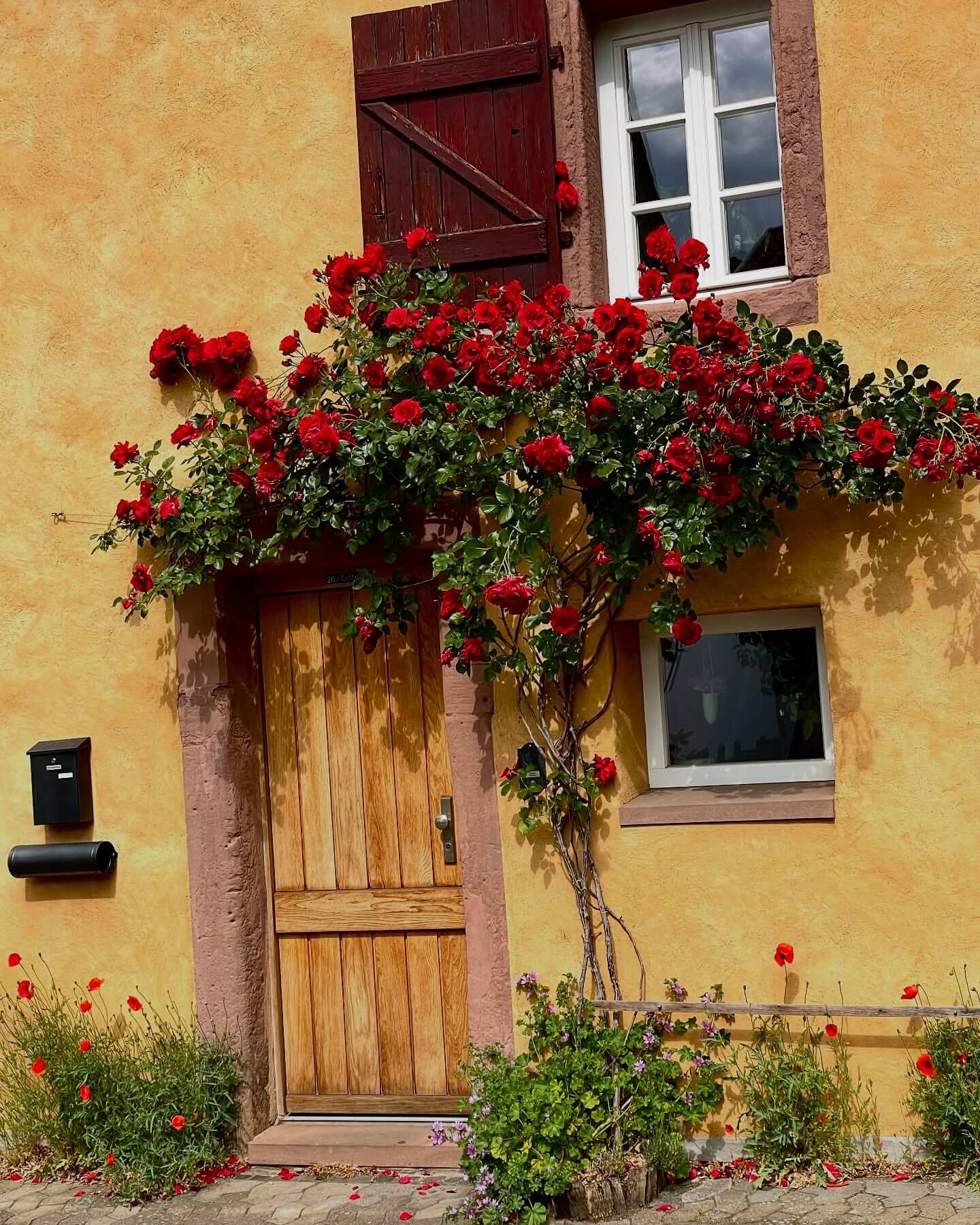 Blooms and Curb Appeal: Transform Your Home with These Front of House Flower Bed Ideas 25