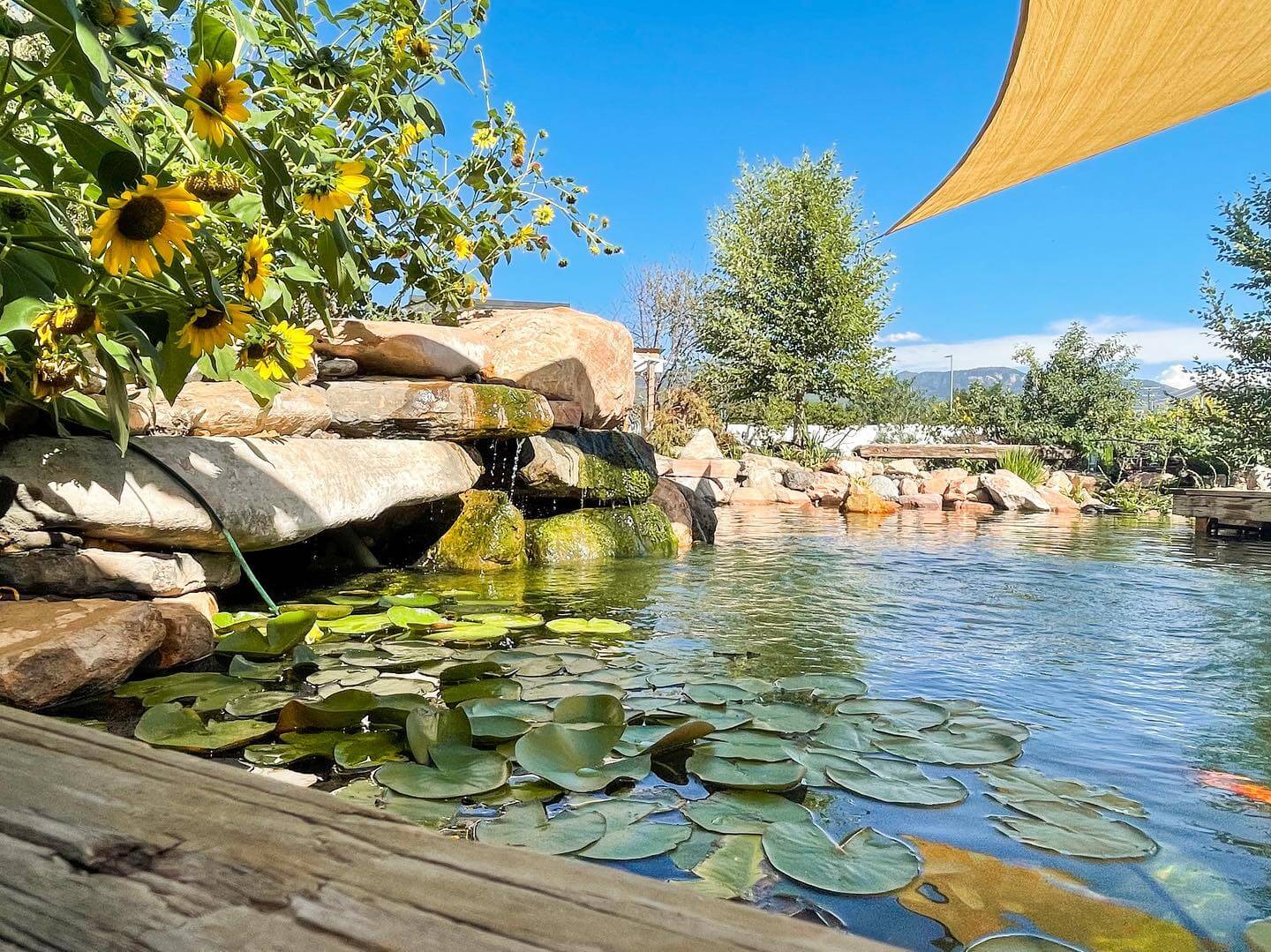 Transform Your Outdoor Space: Creative Backyard Pond Ideas to Inspire You 25