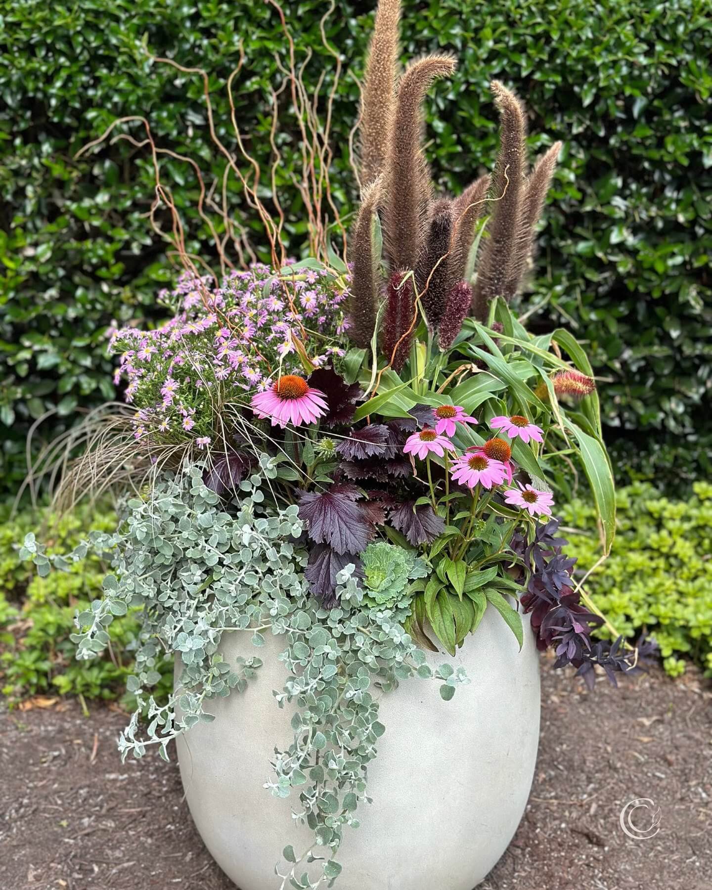 Transform Your Green Space: Creative Container Garden Ideas to Revitalize Any Area 26