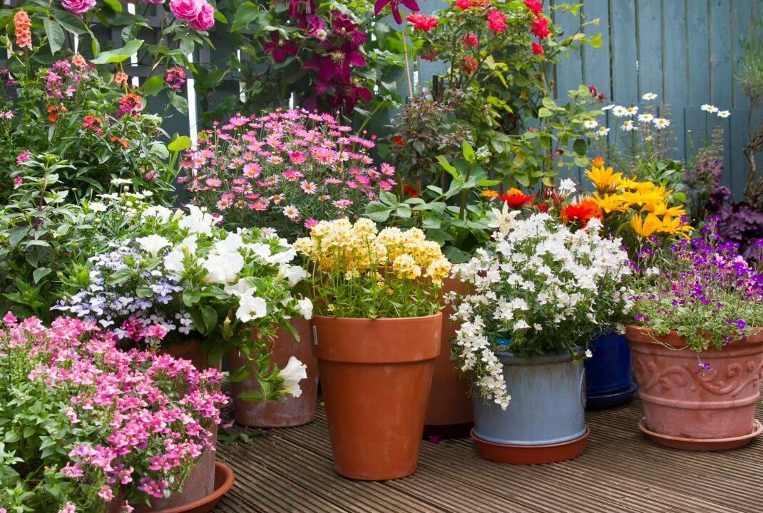 Transform Your Green Space: Creative Container Garden Ideas to Revitalize Any Area 27