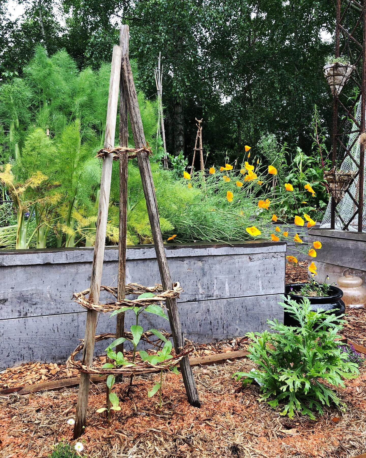 Transform Your Outdoor Space: Innovative Repurposed Garden Ideas 27