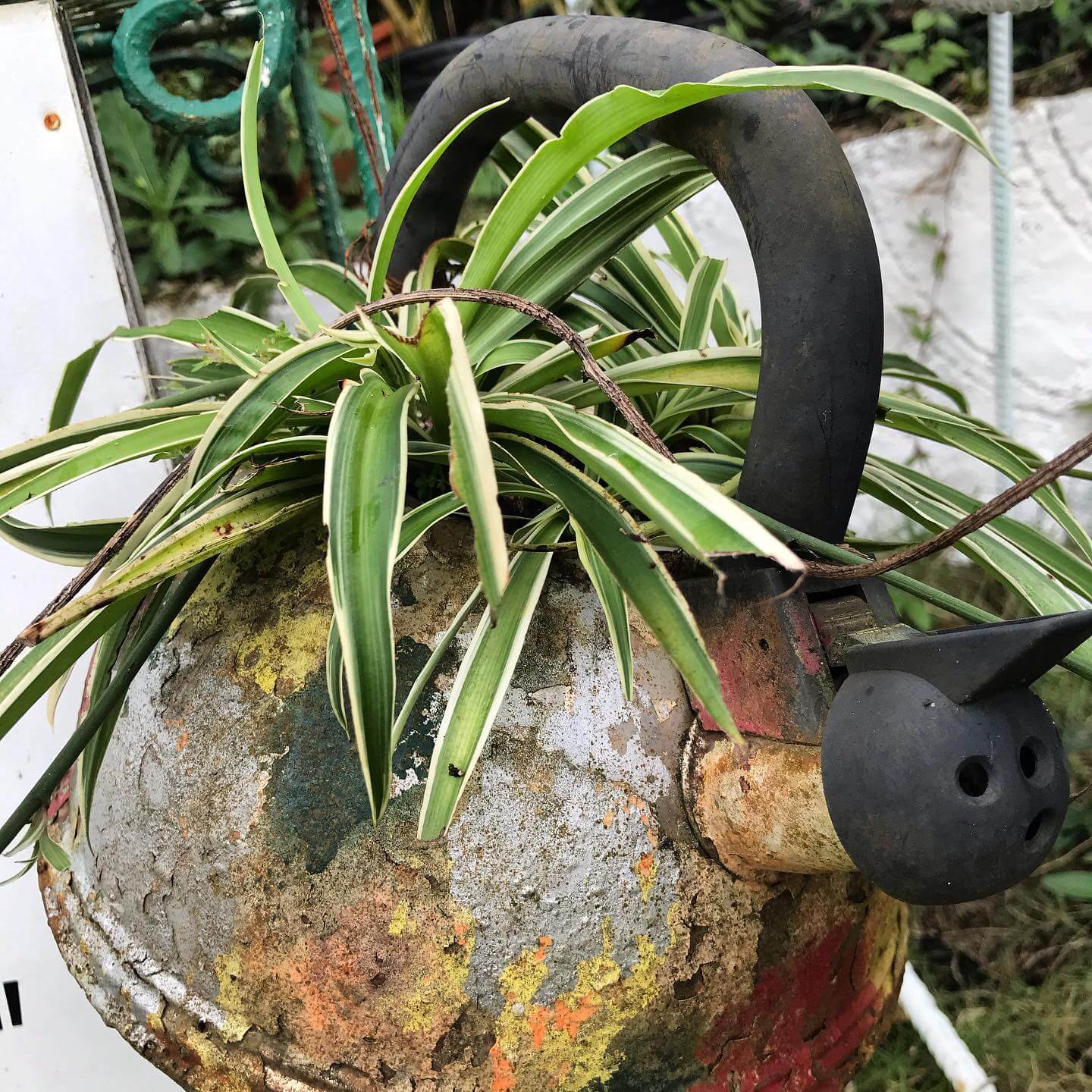 Transform Your Outdoor Space: Innovative Repurposed Garden Ideas 3