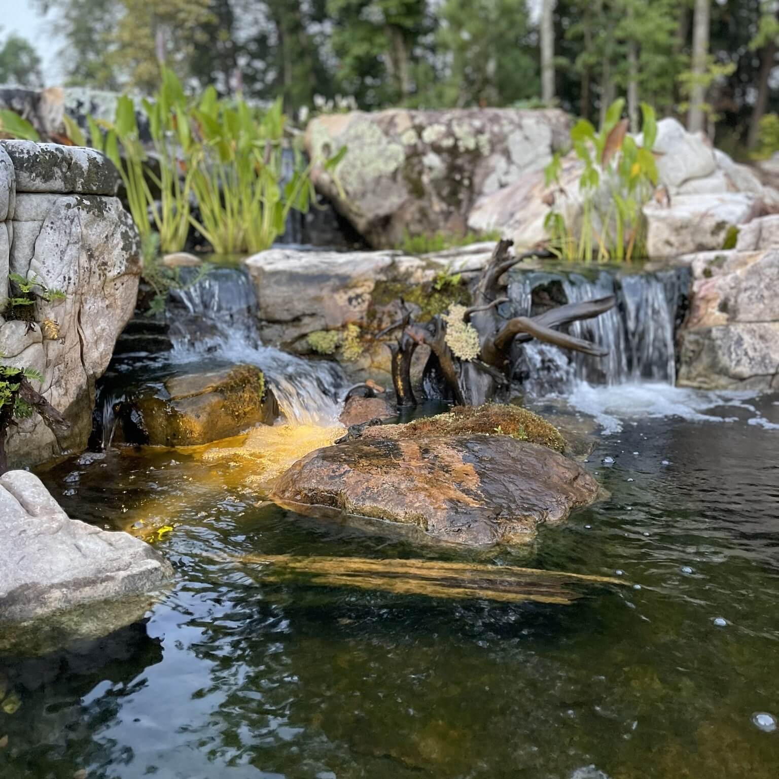 Transform Your Outdoor Space: Creative Backyard Pond Ideas to Inspire You 4