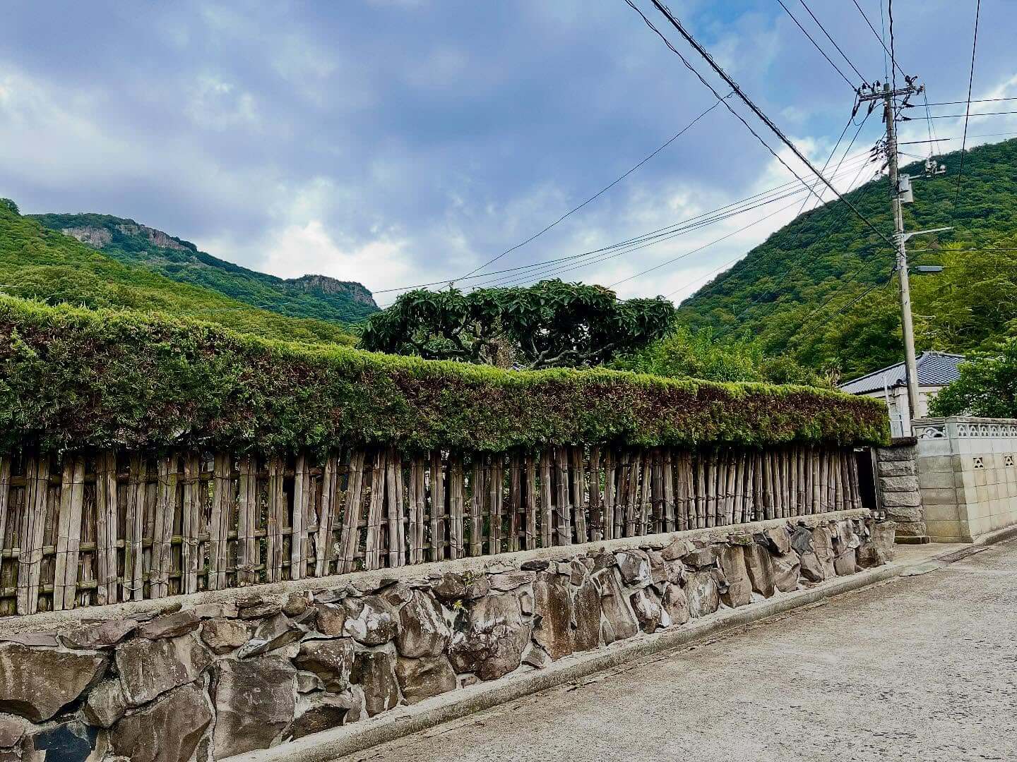 Creative Corner Fence Ideas to Elevate Your Outdoor Space 4