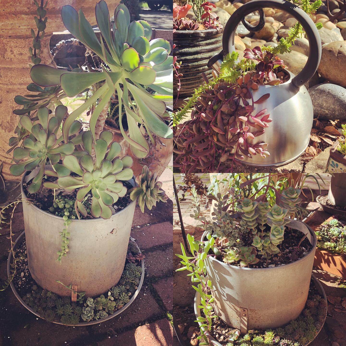 Transform Your Outdoor Space: Innovative Repurposed Garden Ideas 4